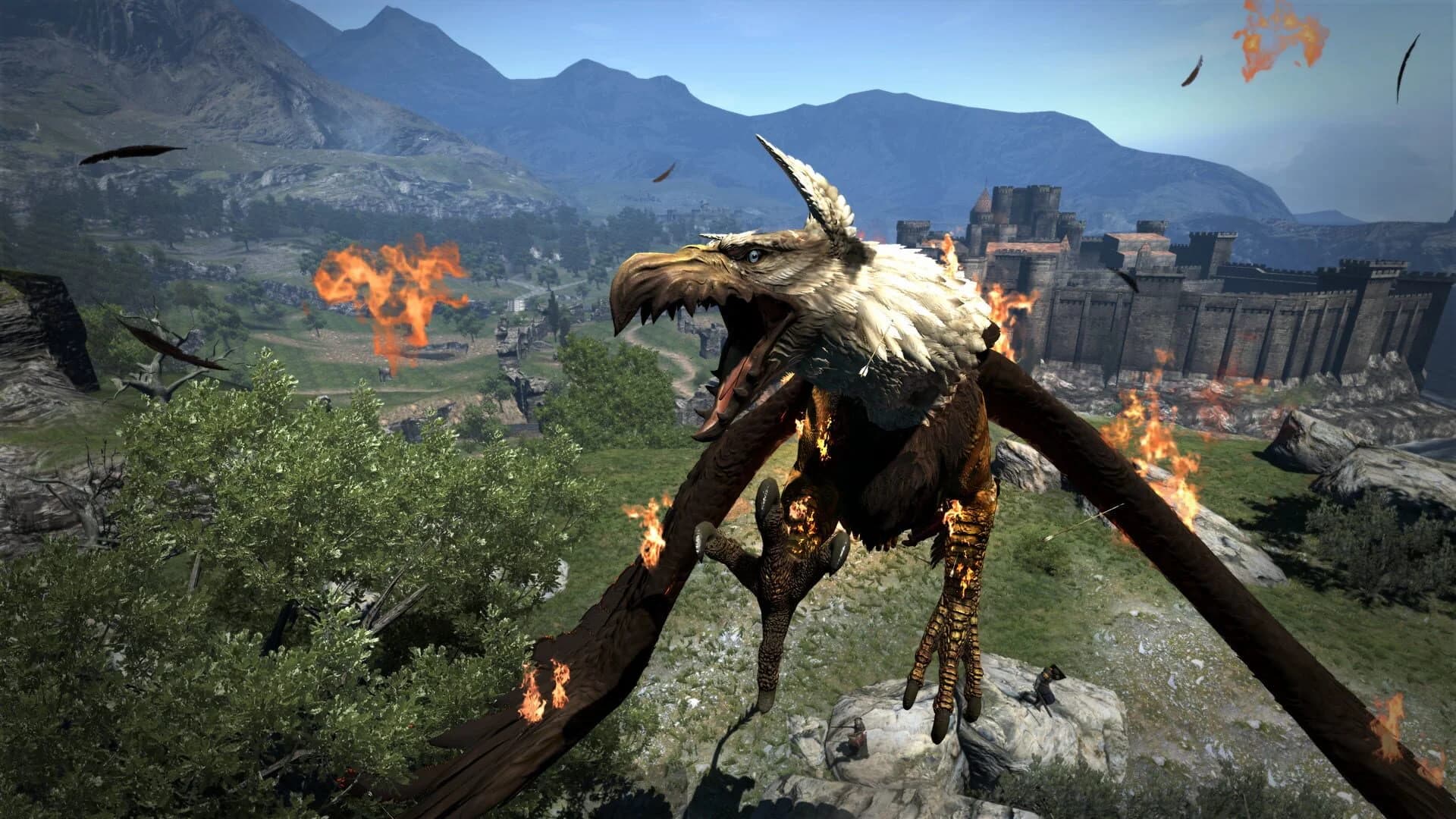 Dragon's Dogma: Dark Arisen screenshot 5