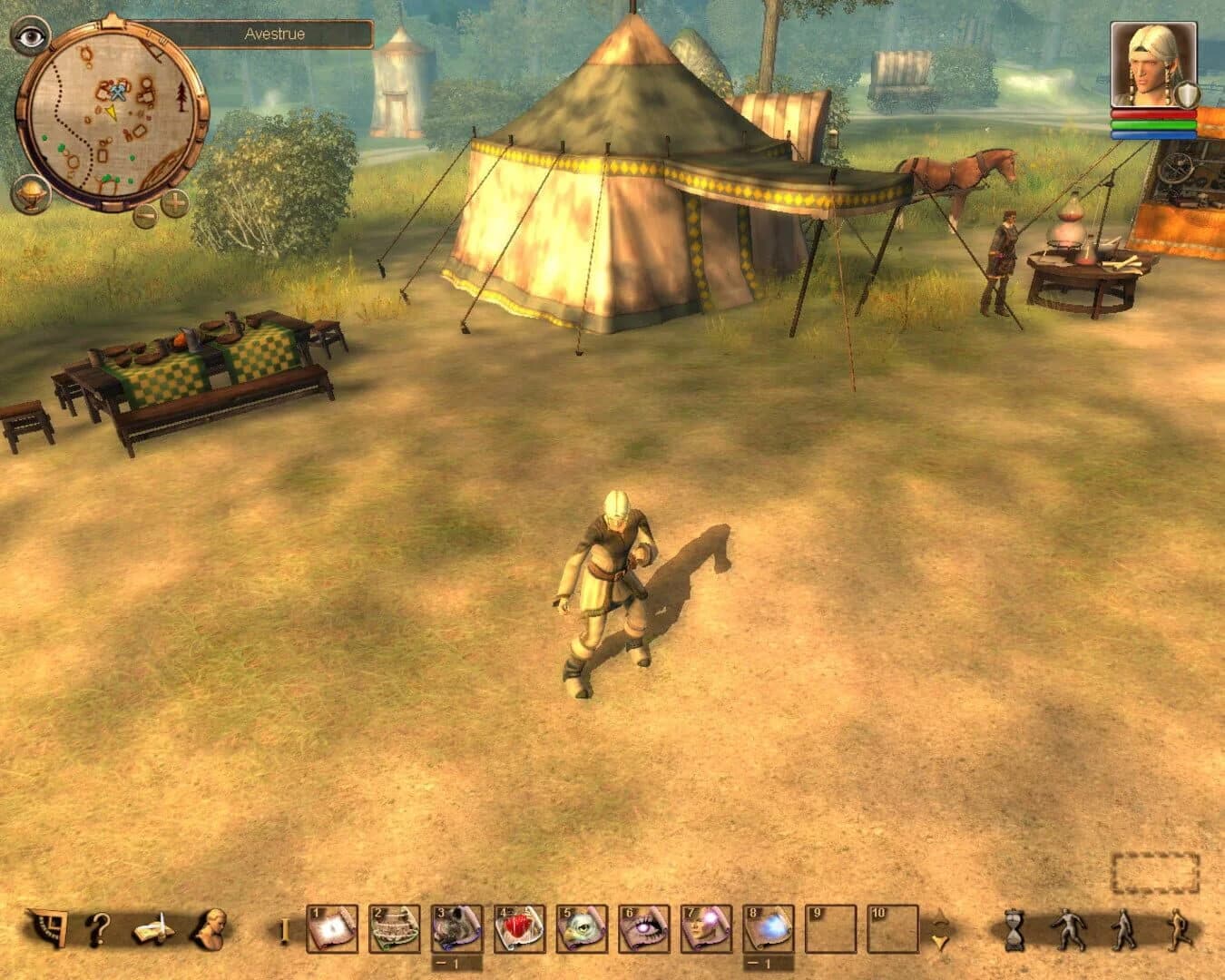 Drakensang: The Dark Eye screenshot 2
