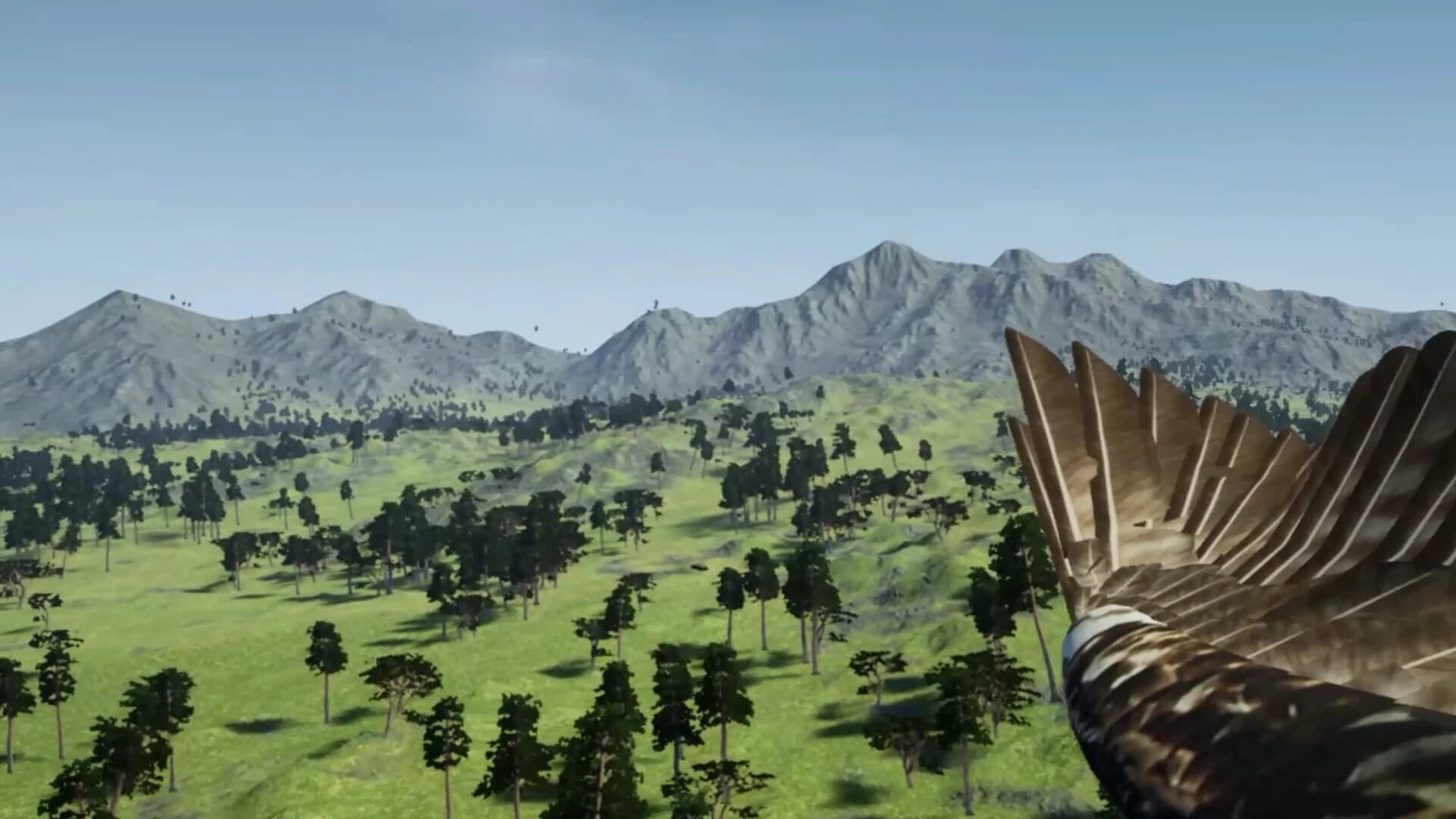 DreamFly screenshot 4