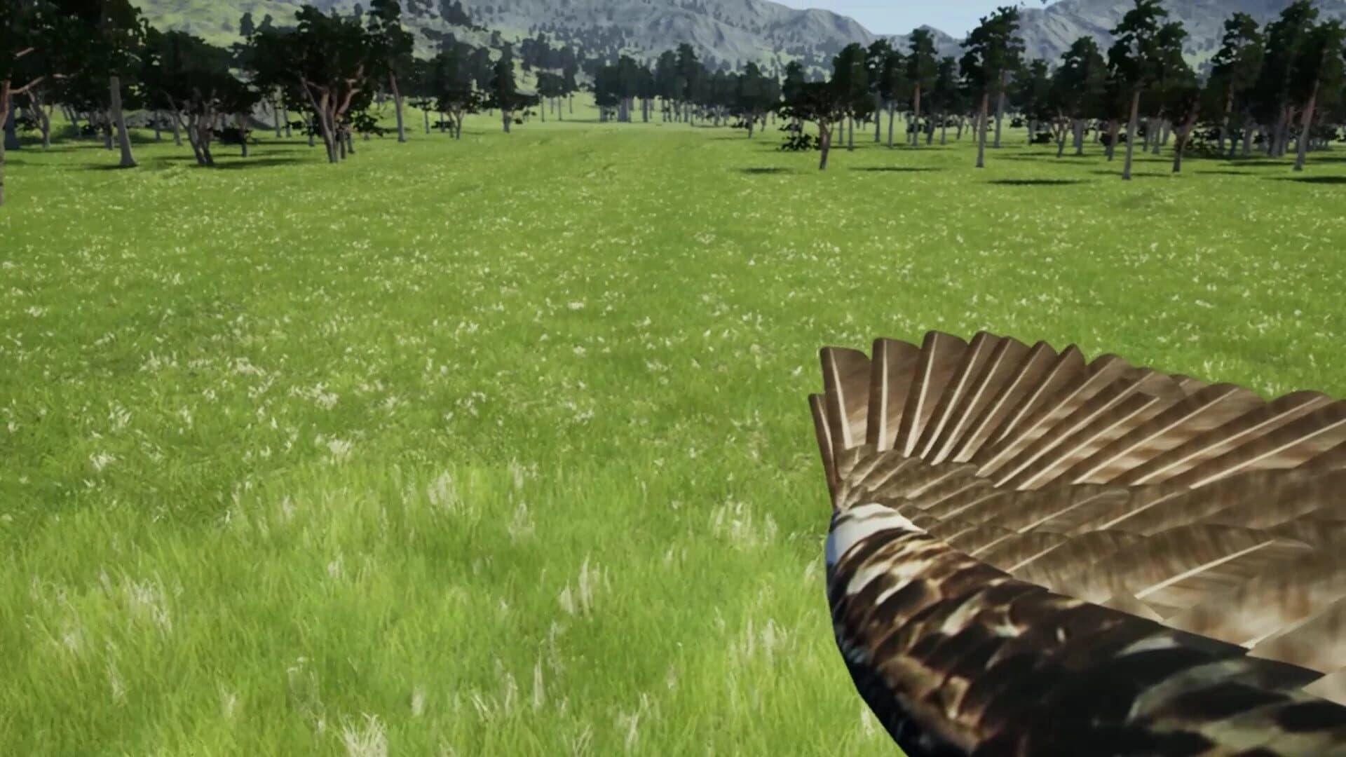 DreamFly screenshot 2