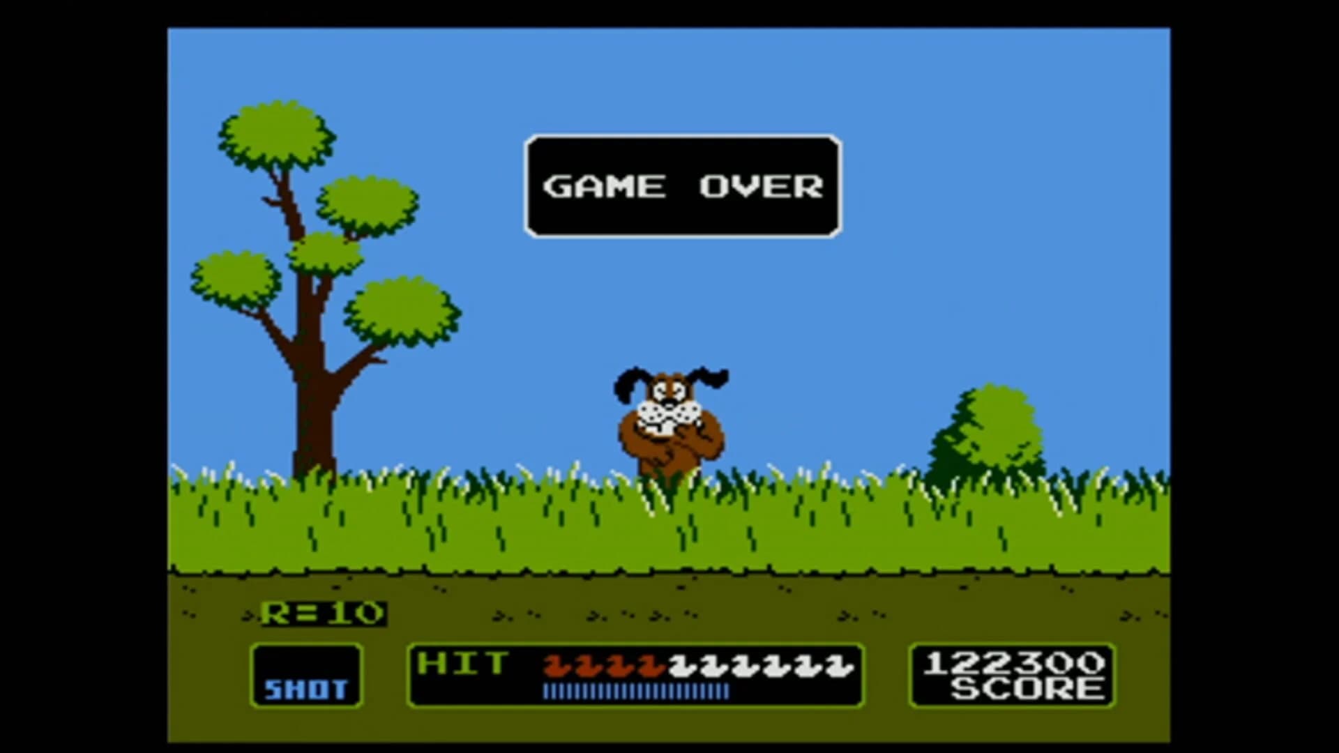 Duck Hunt screenshot 5