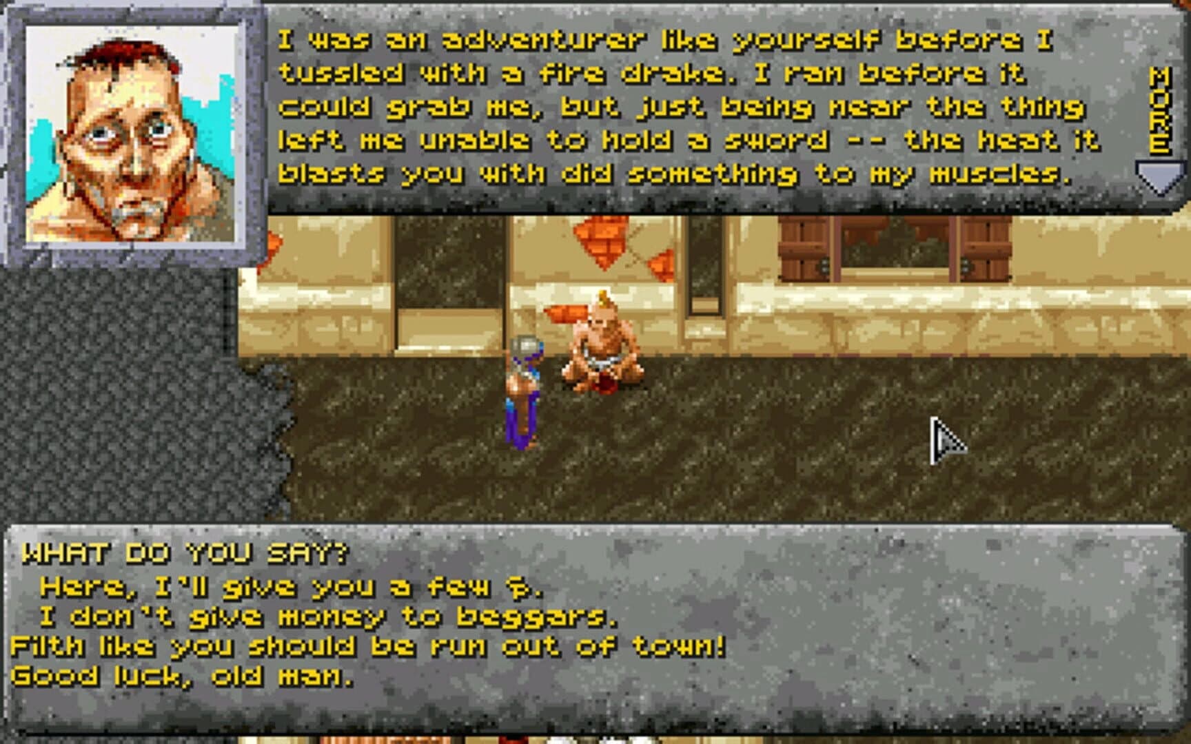 Dungeons & Dragons: Dark Sun Series screenshot 3