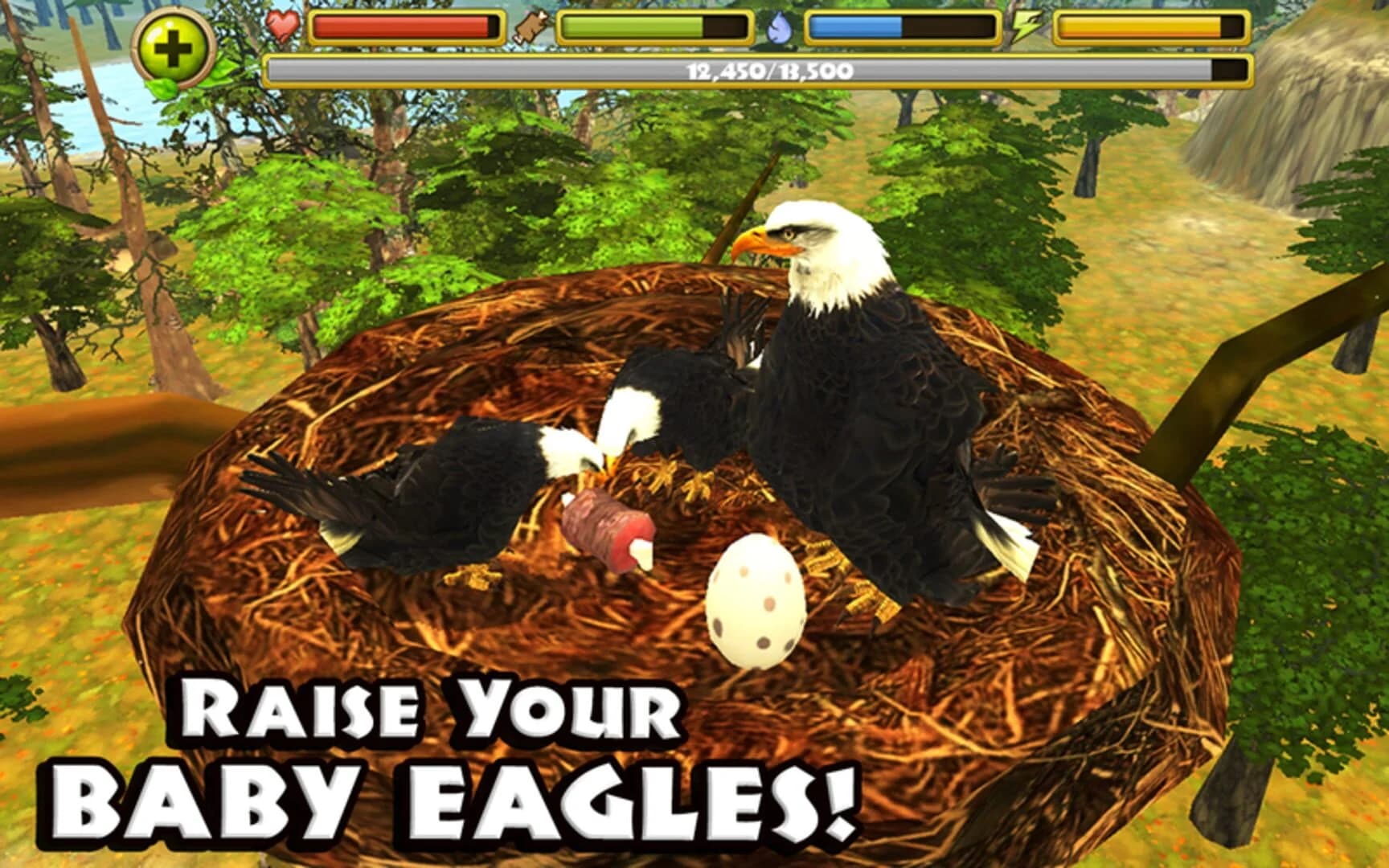 Eagle Simulator screenshot 2