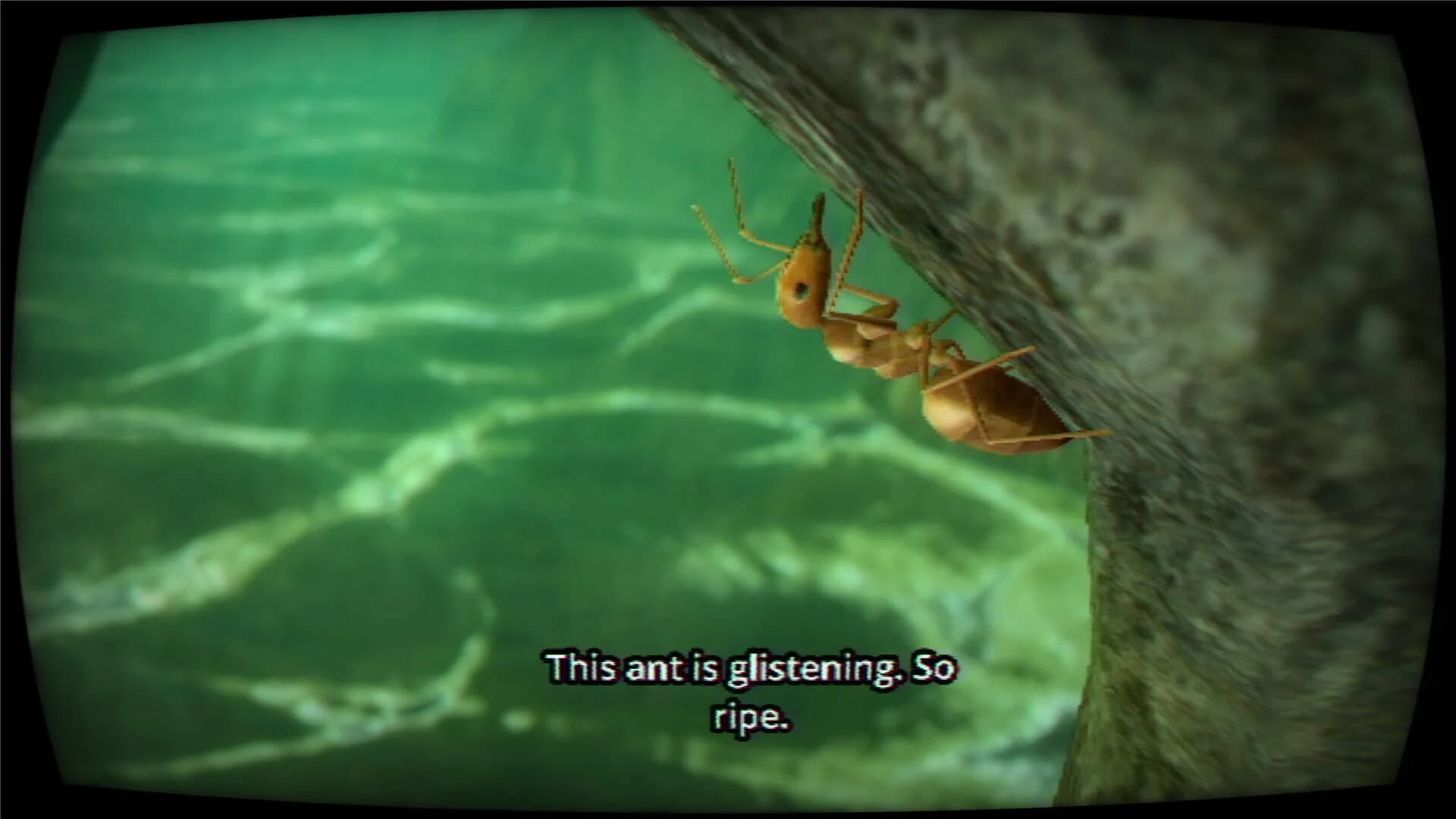 Eating Nature screenshot 2