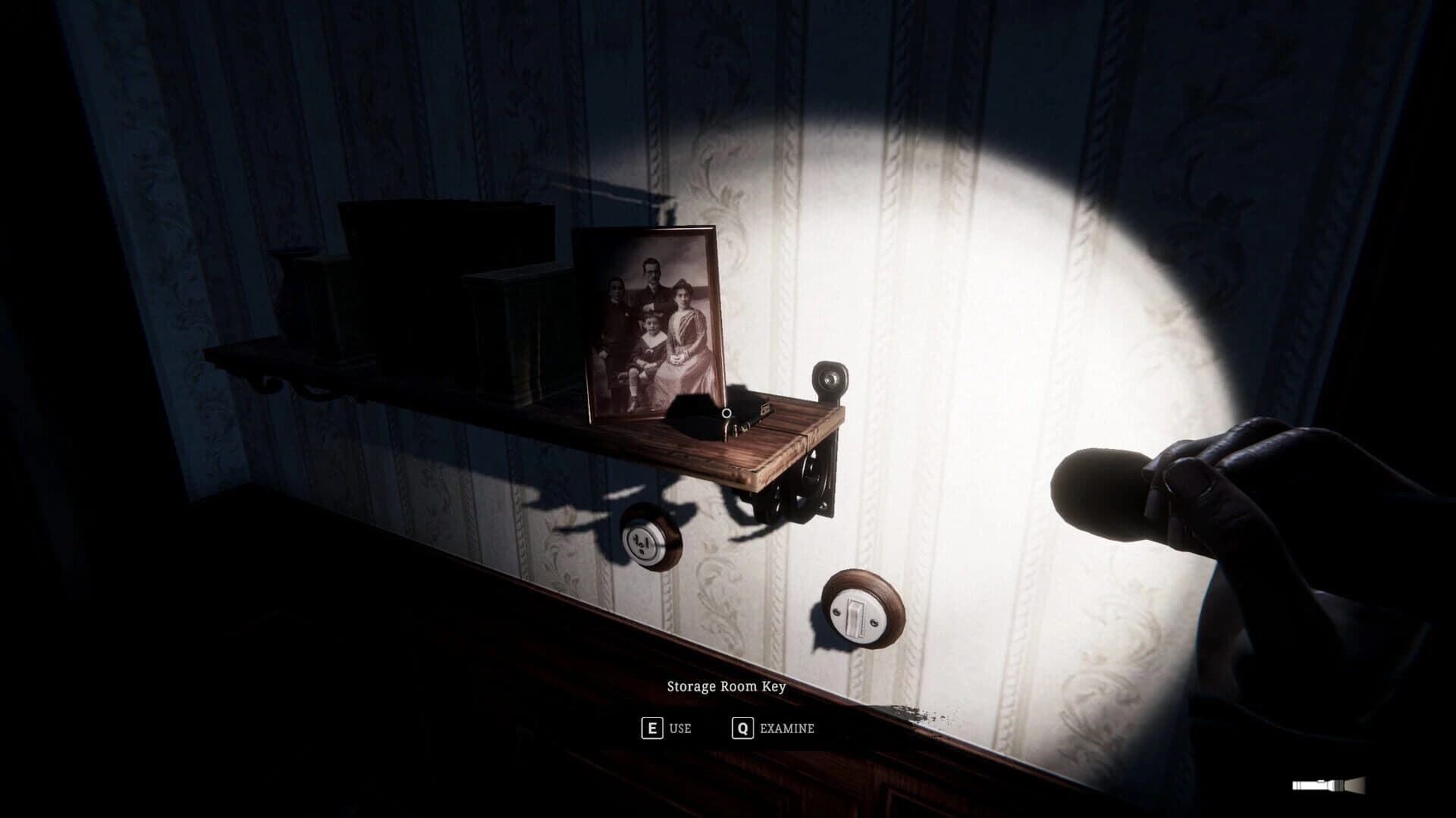 Echos in the Dark screenshot 5