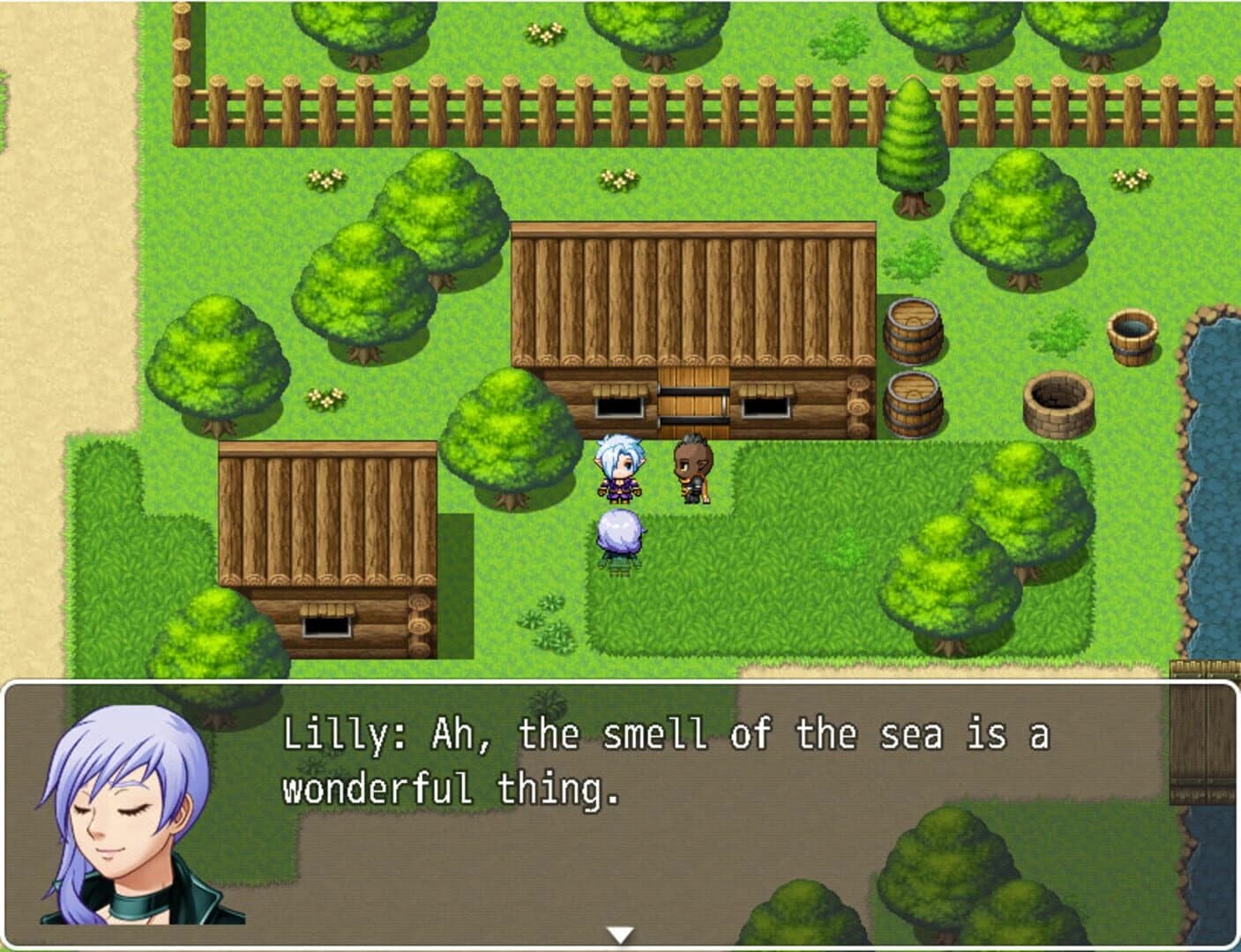 Elemental Echoes screenshot 1
