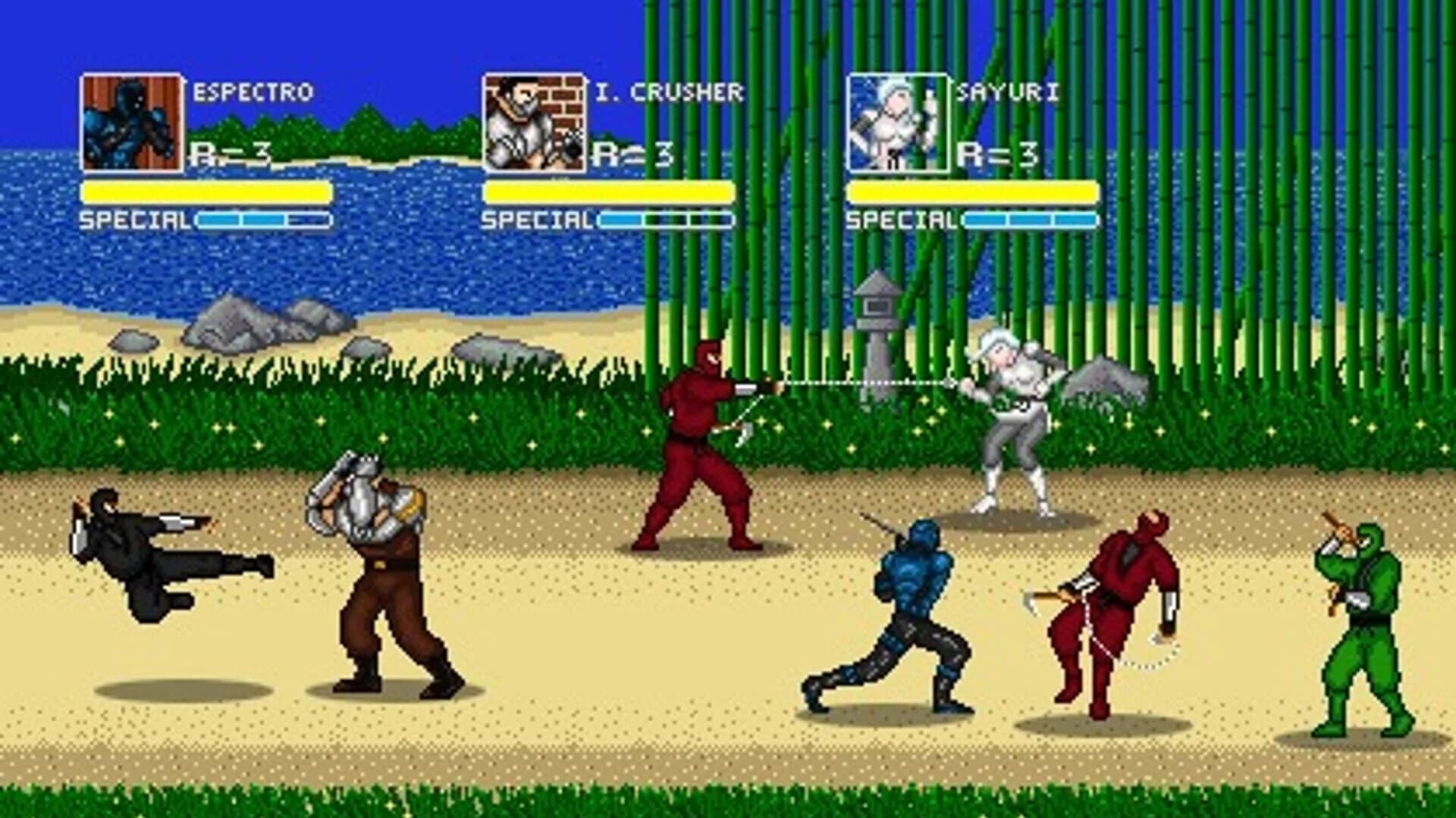 Espectro the Fighters Focus screenshot 2