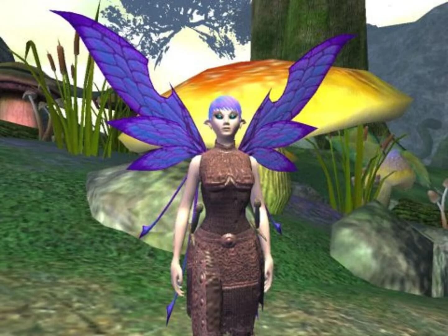 EverQuest II: Echoes of Faydwer screenshot 1