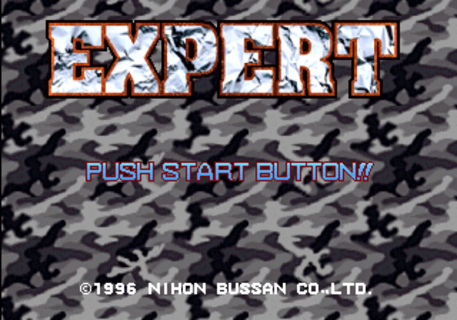 Expert screenshot 1