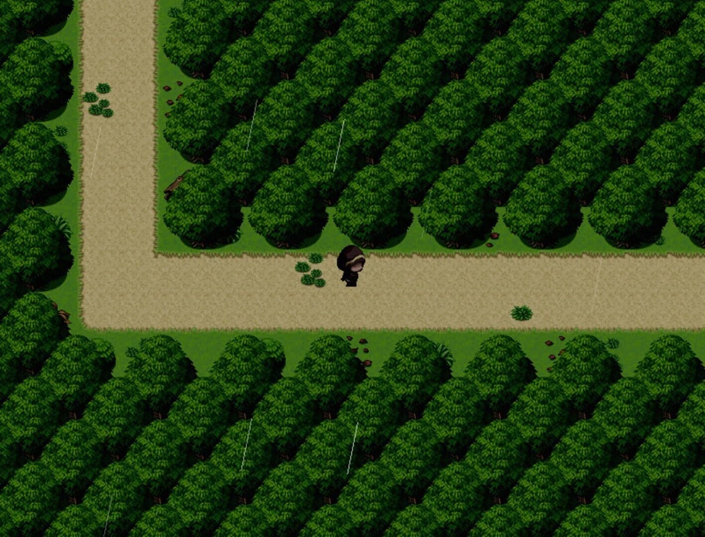 Fadry screenshot 1