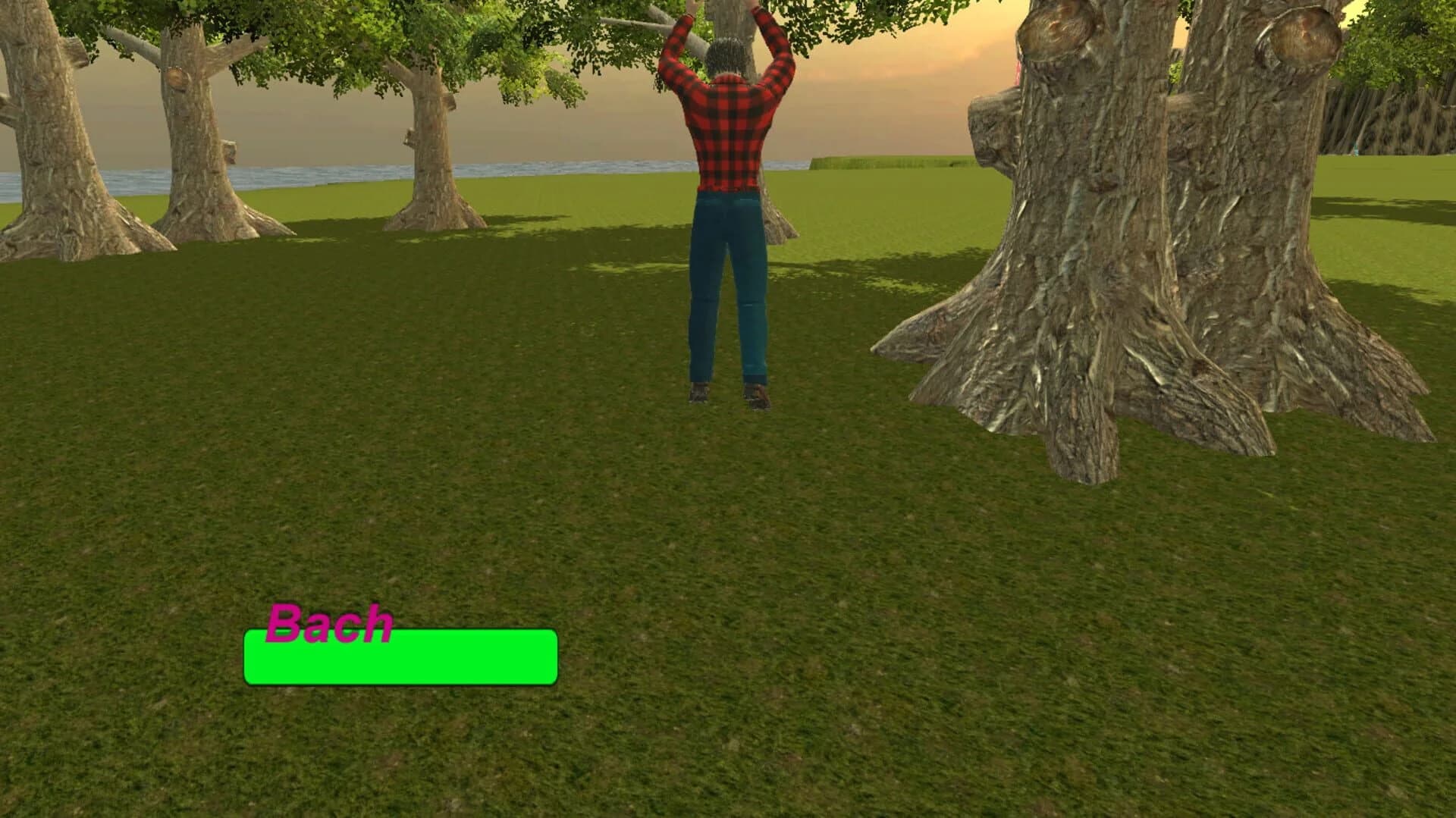Fapic screenshot 5