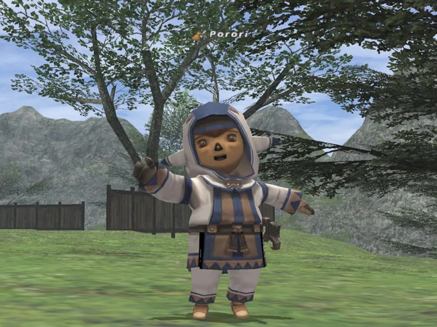 Final Fantasy XI Online screenshot 4