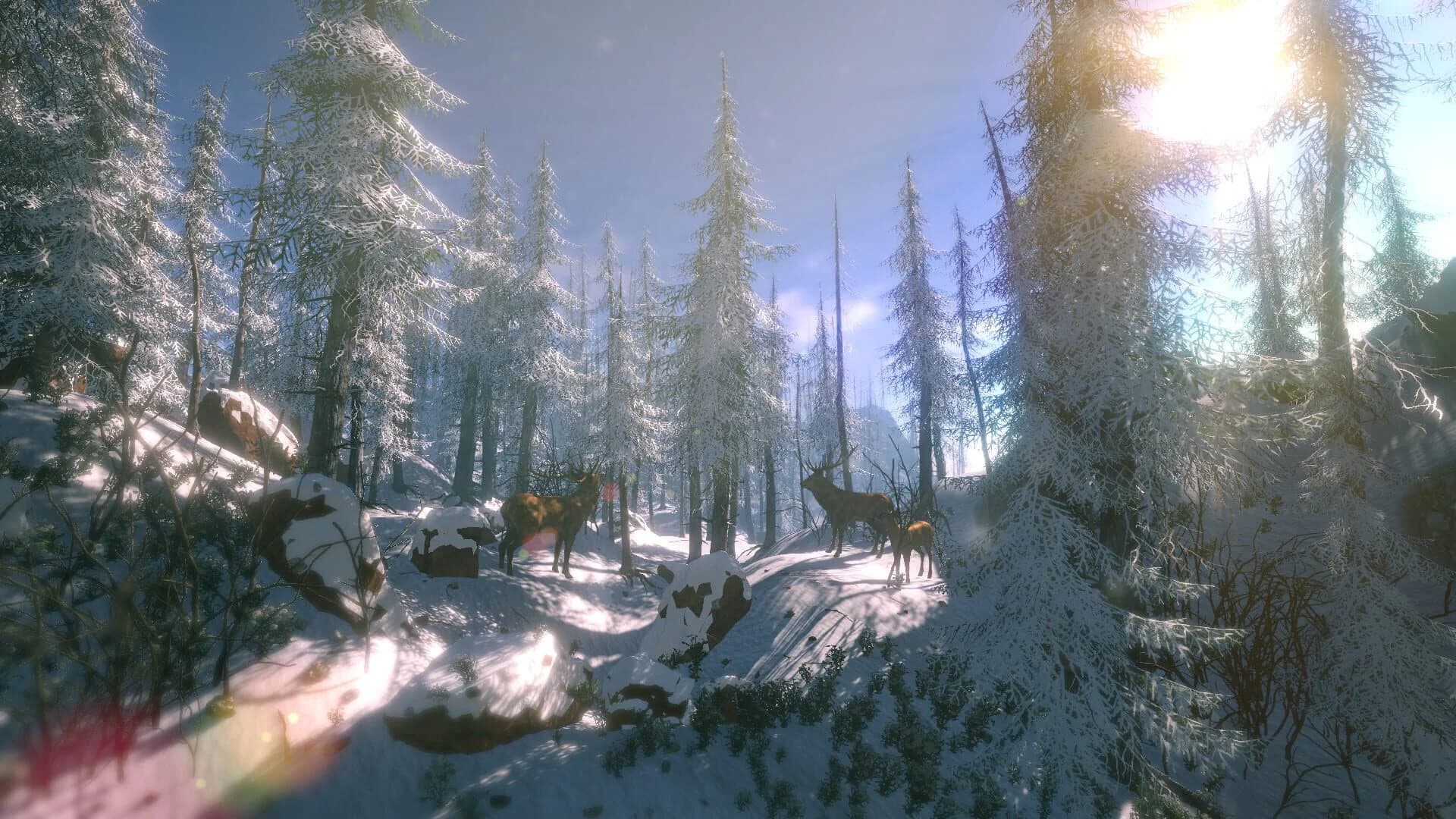 FlowScape screenshot 2