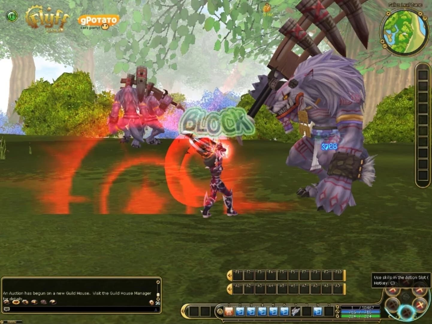 Flyff screenshot 4