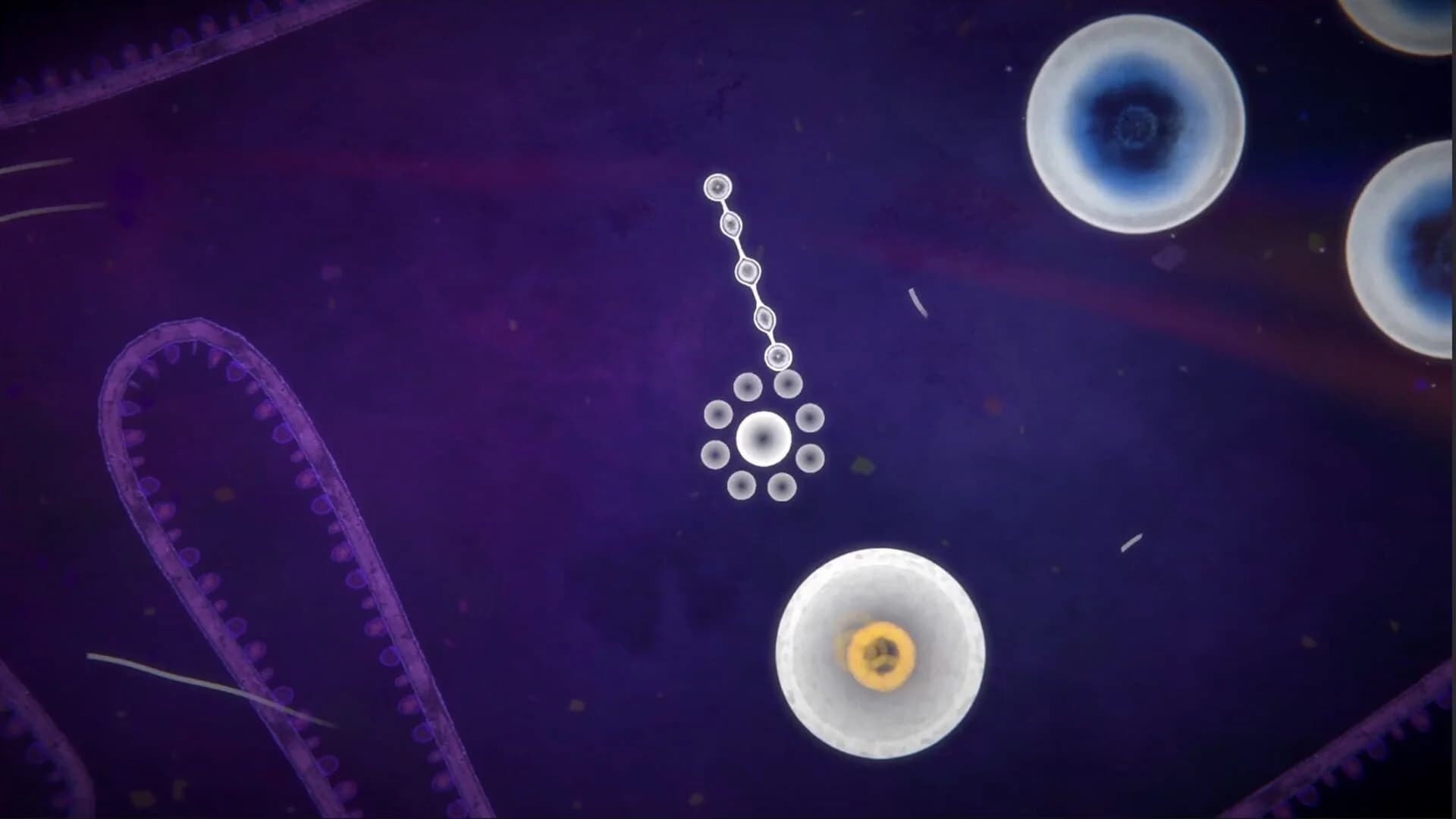 Focus Find screenshot 3