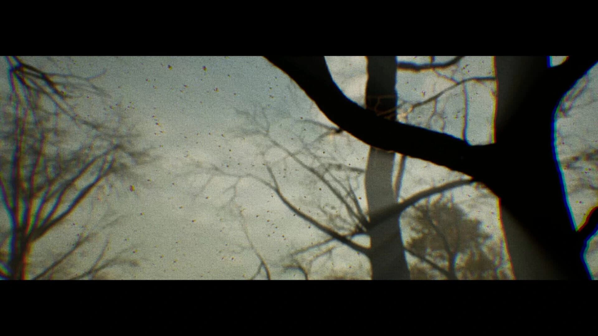 Folk Tales: Ala Geyik screenshot 1