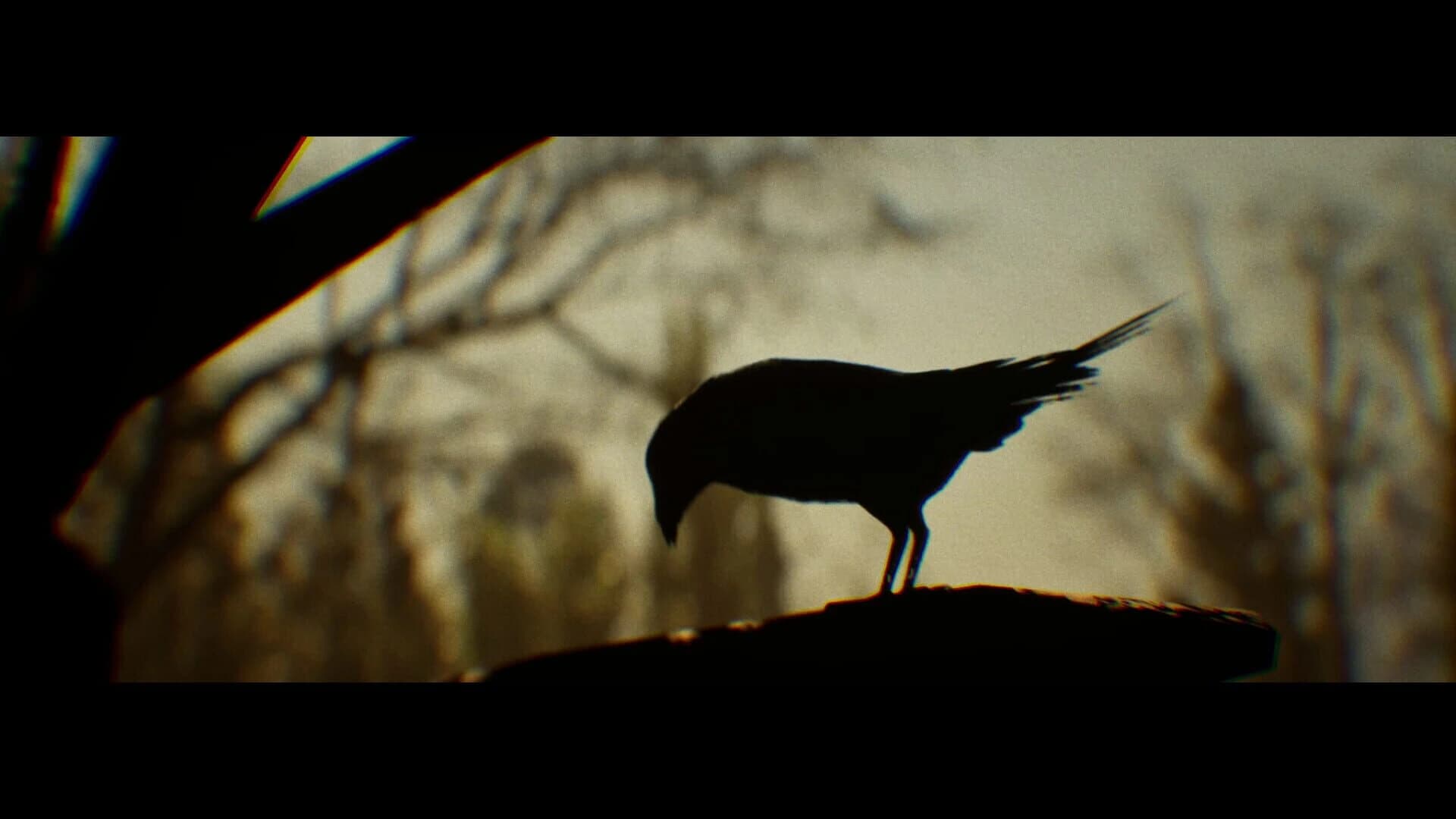 Folk Tales: Ala Geyik screenshot 2