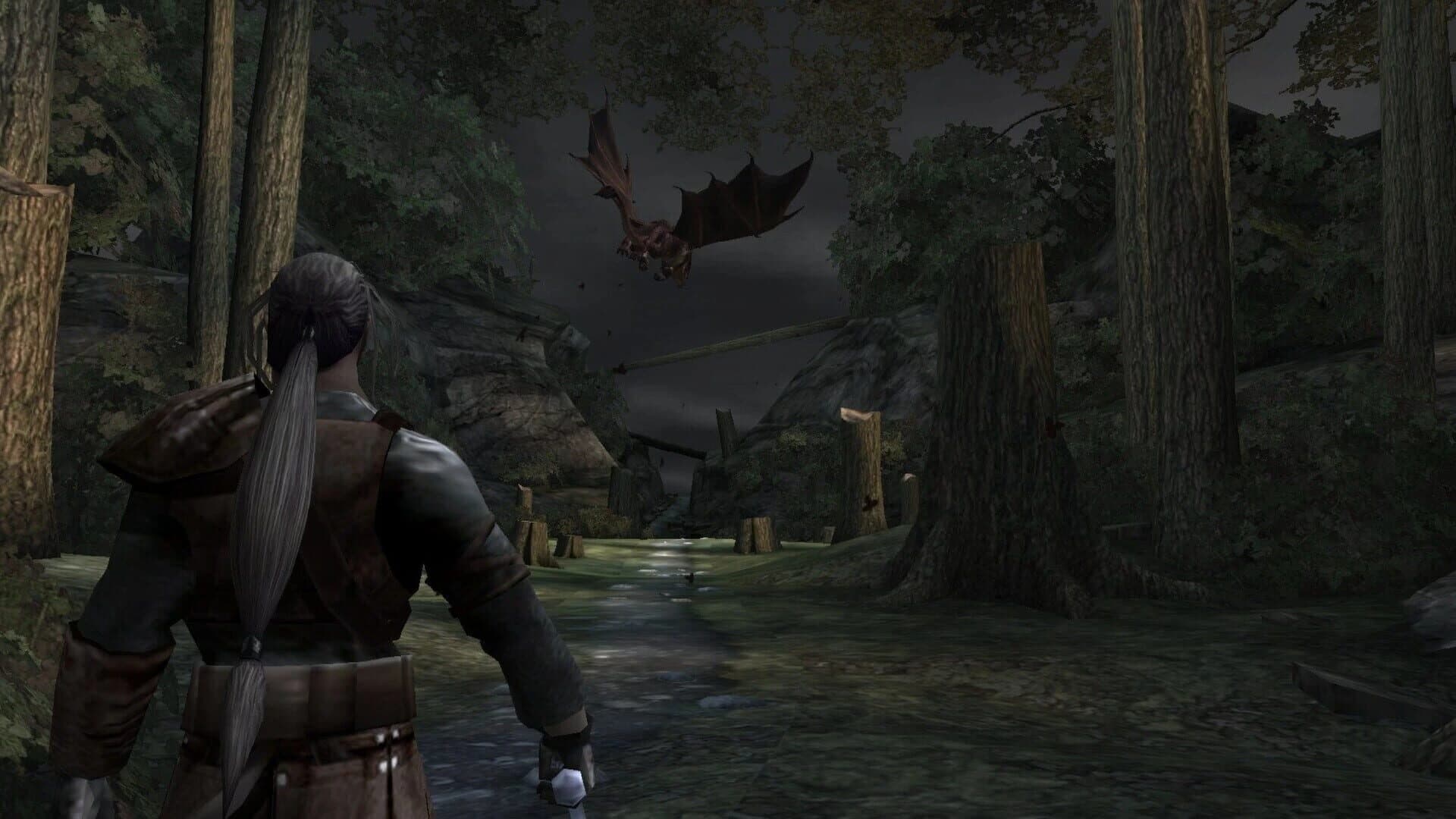 Forgotten Realms: Demon Stone screenshot 1