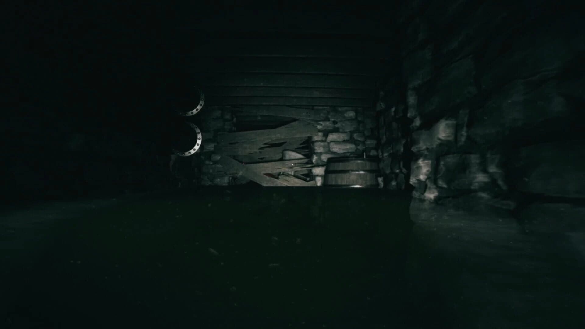 Forsisted: The Sacred Souls screenshot 2