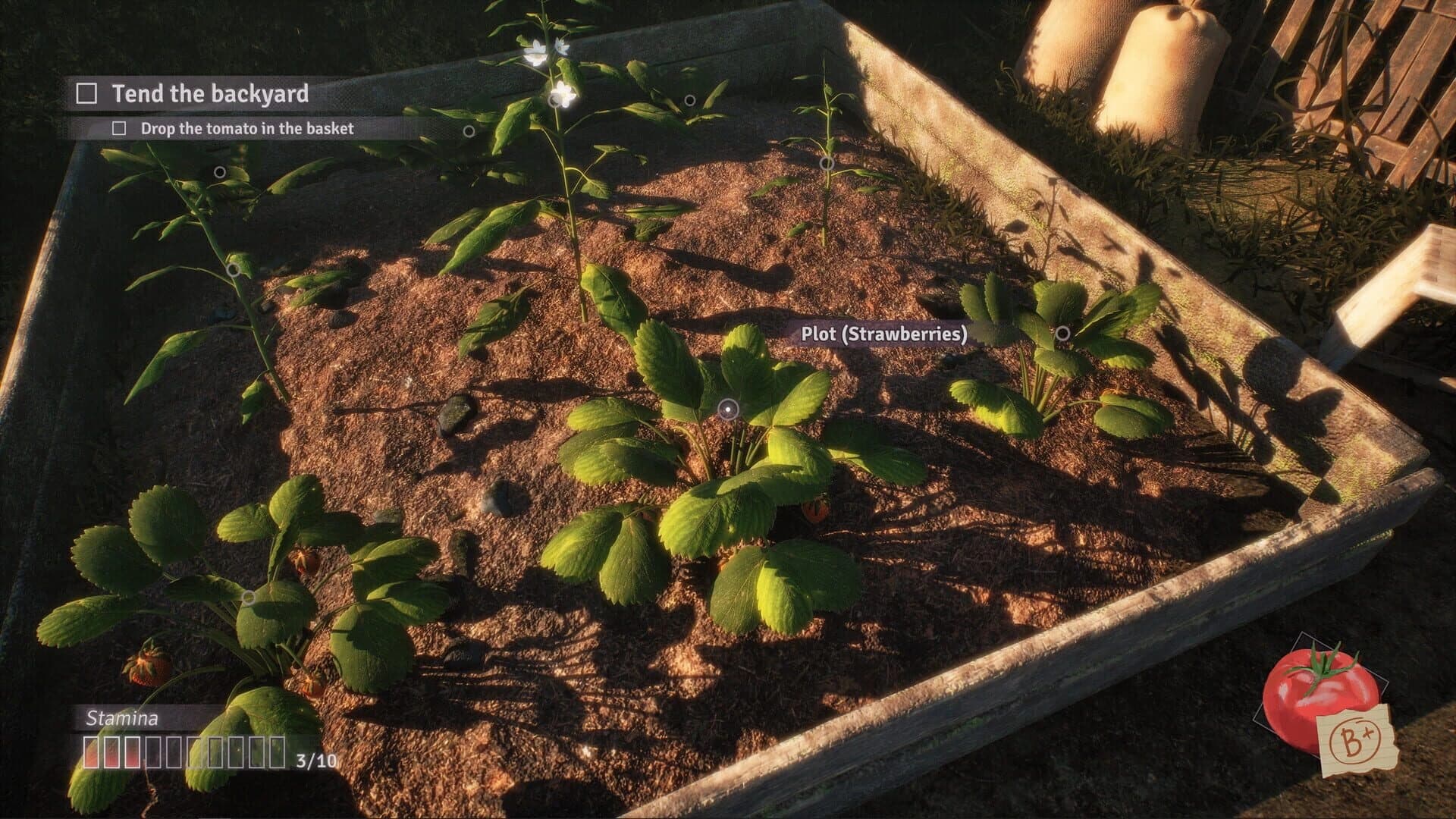 Fractured Blooms screenshot 5