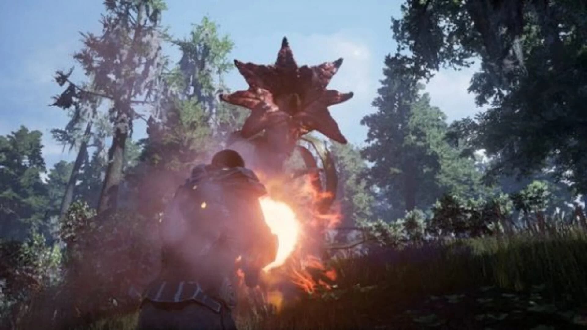 Fragmented screenshot 2