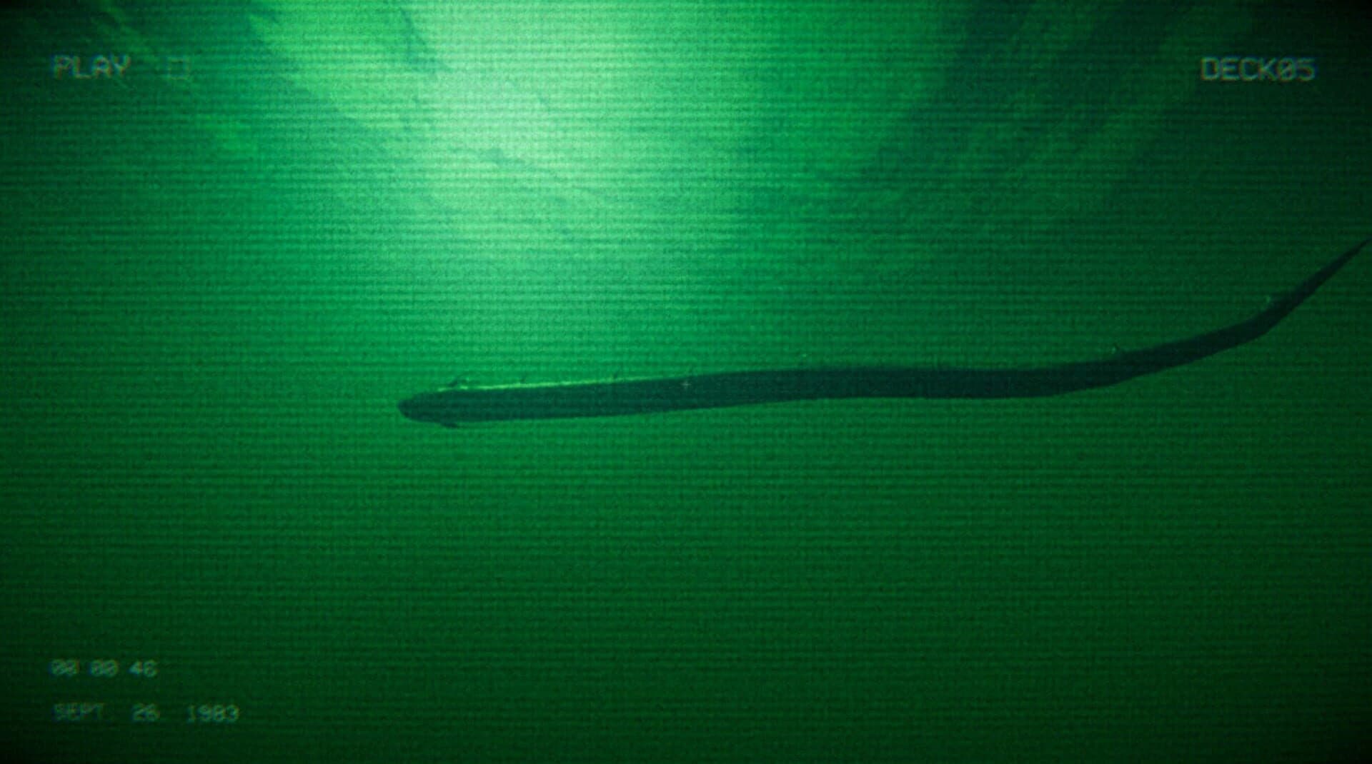 Full Fathom screenshot 4