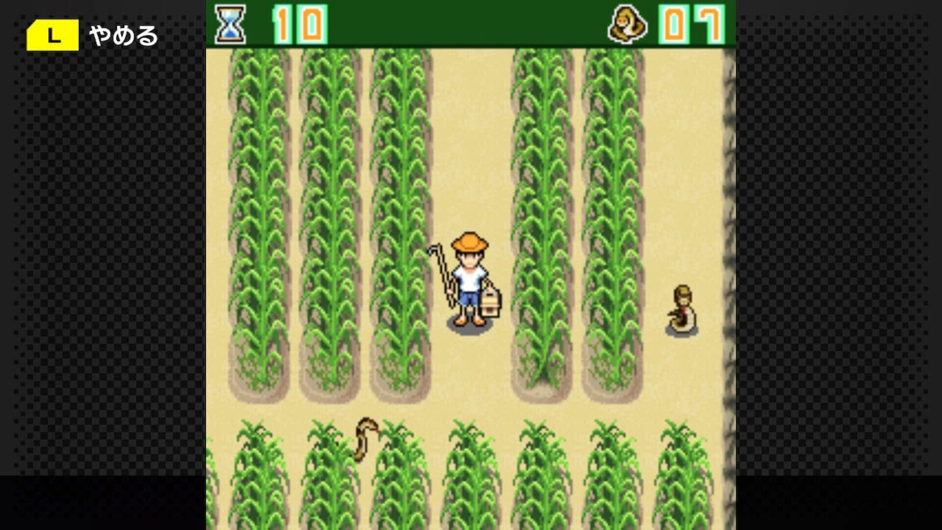 G-Mode Archives 15: Chura-jima Kurashi screenshot 5