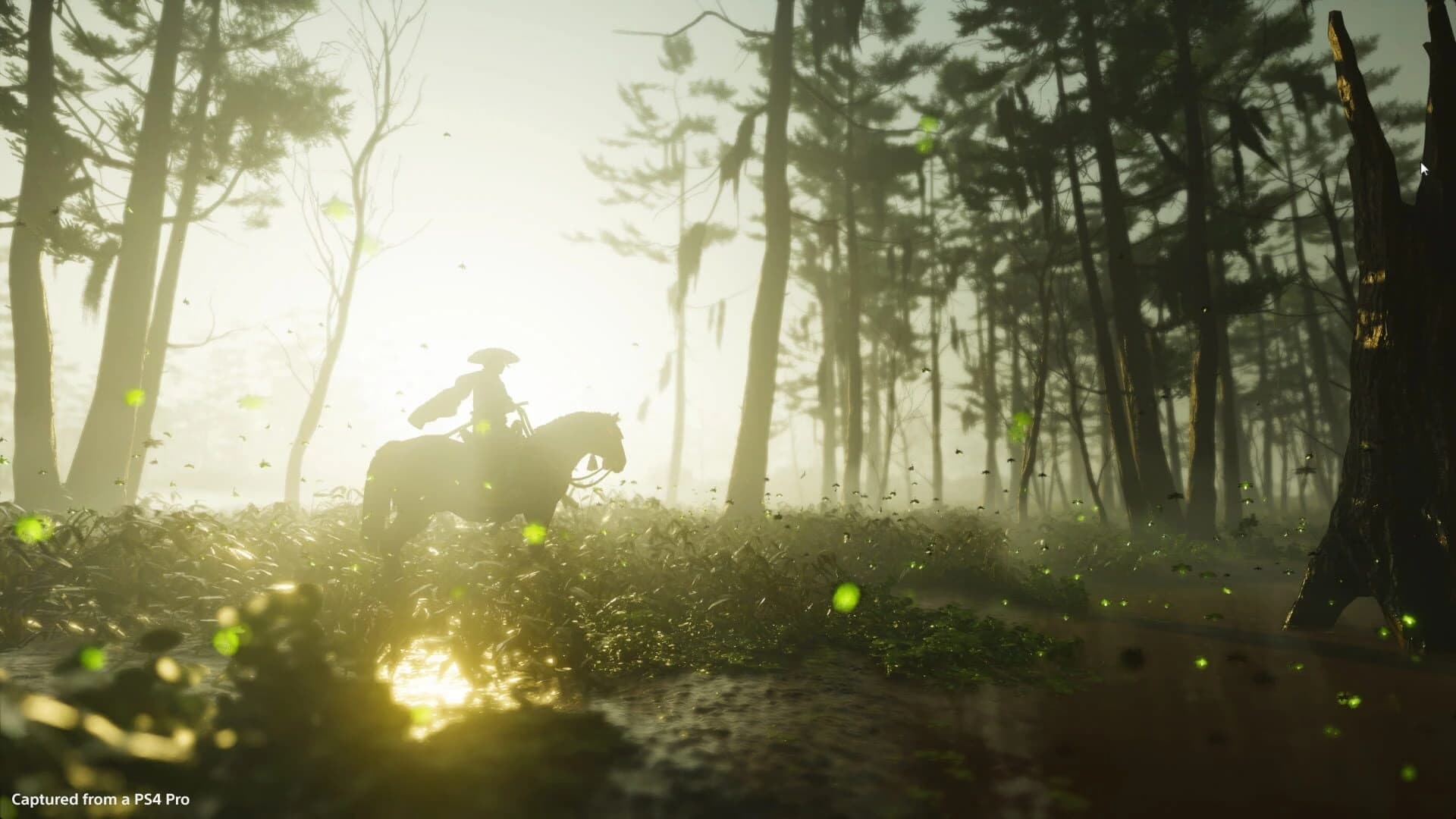 Ghost of Tsushima: Collector's Edition screenshot 3