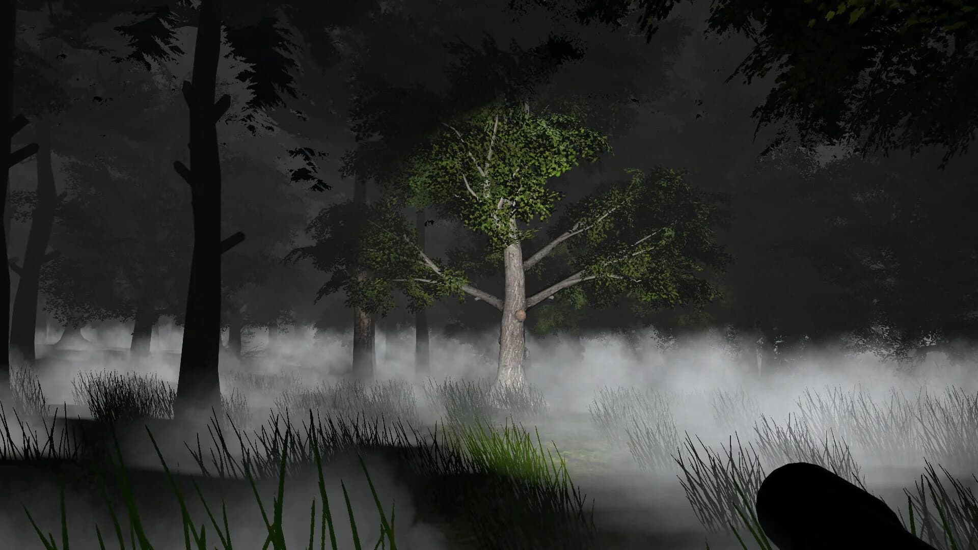 Go Outside Simulator screenshot 4