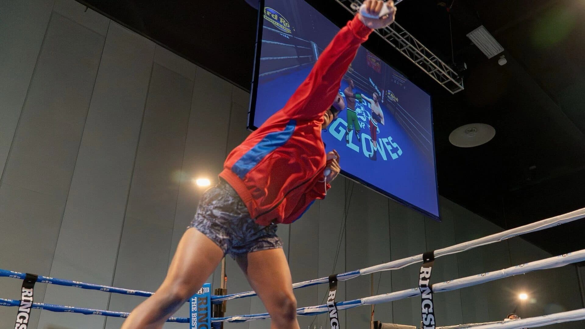 Golden Gloves VR screenshot 1