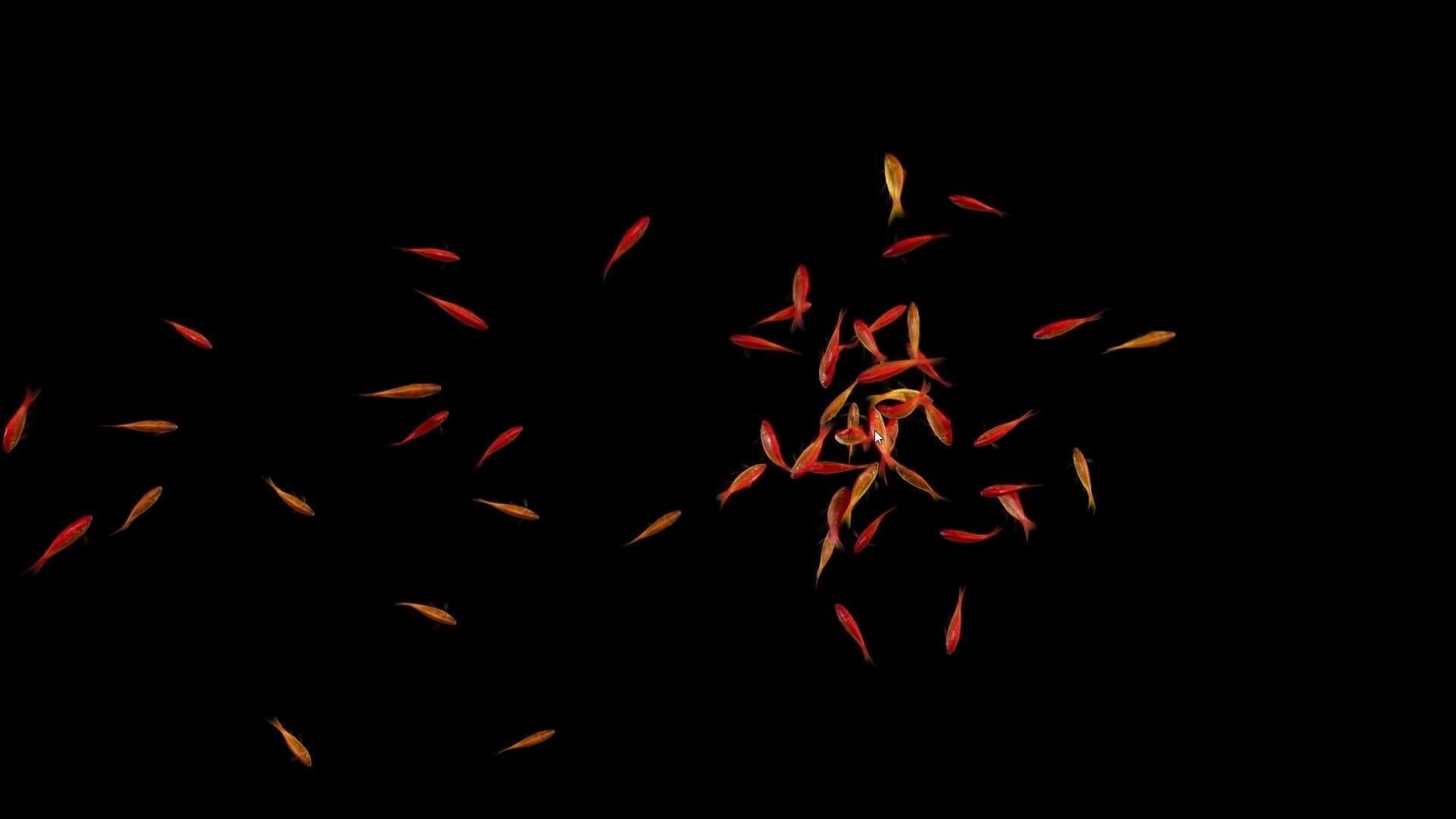 Goldfish Simulator screenshot 4