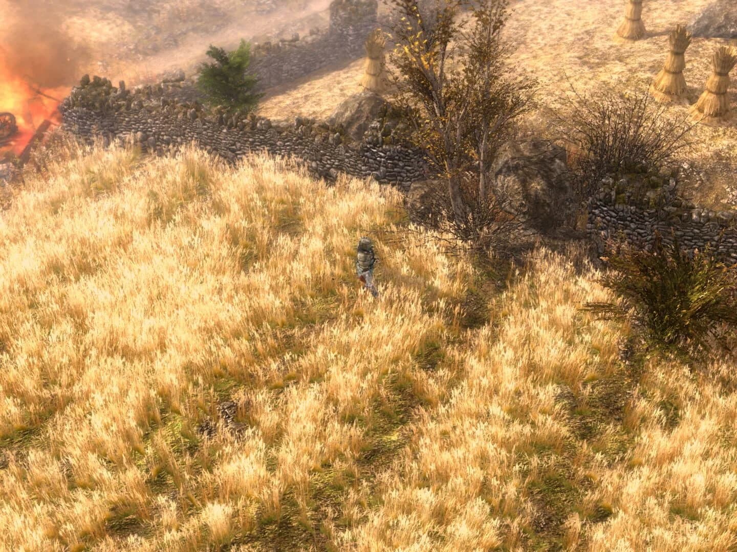 Grim Dawn screenshot 5