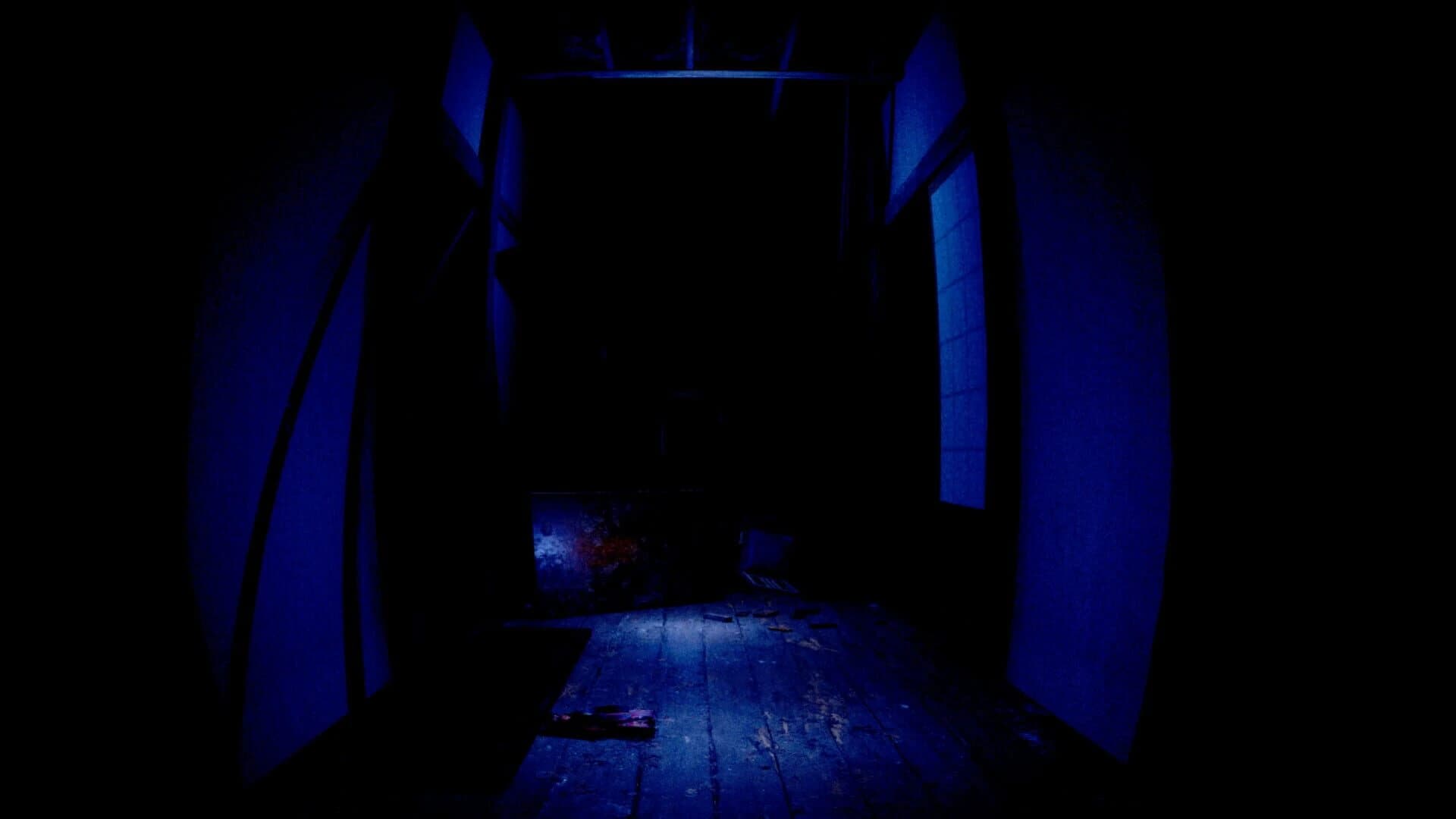 Hai Shuuraku Tansaku screenshot 2