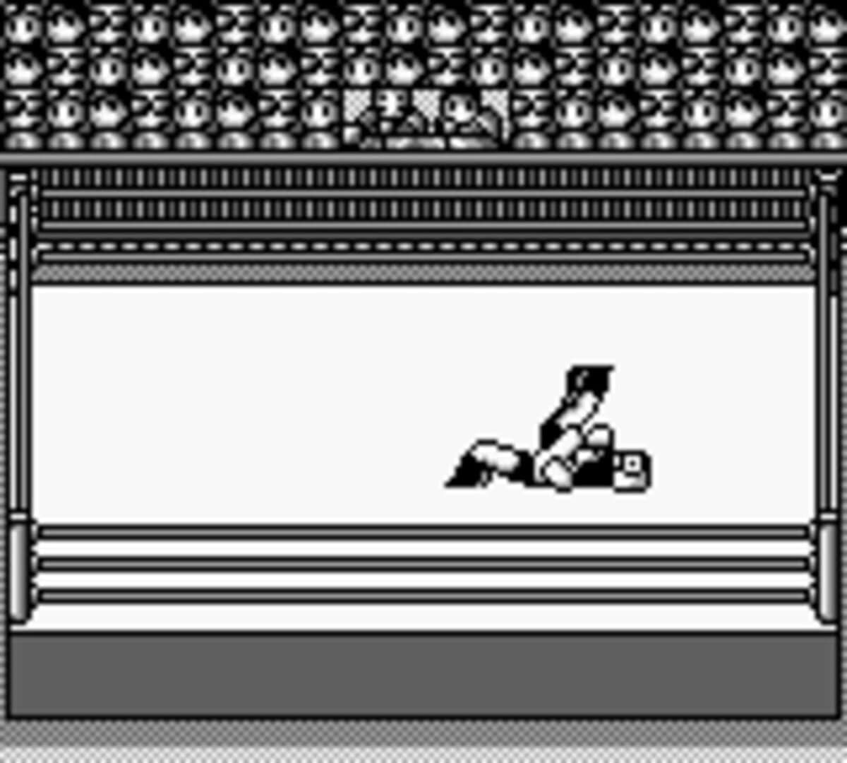 Hal Wrestling screenshot 1