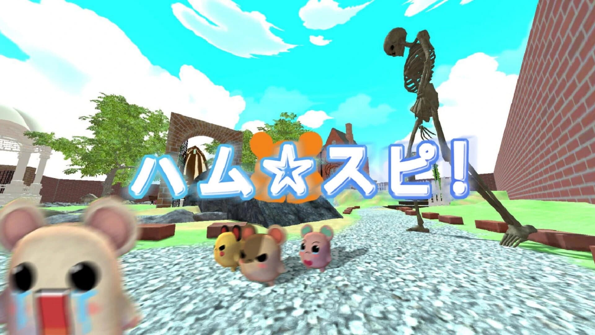 Ham Supi screenshot 2