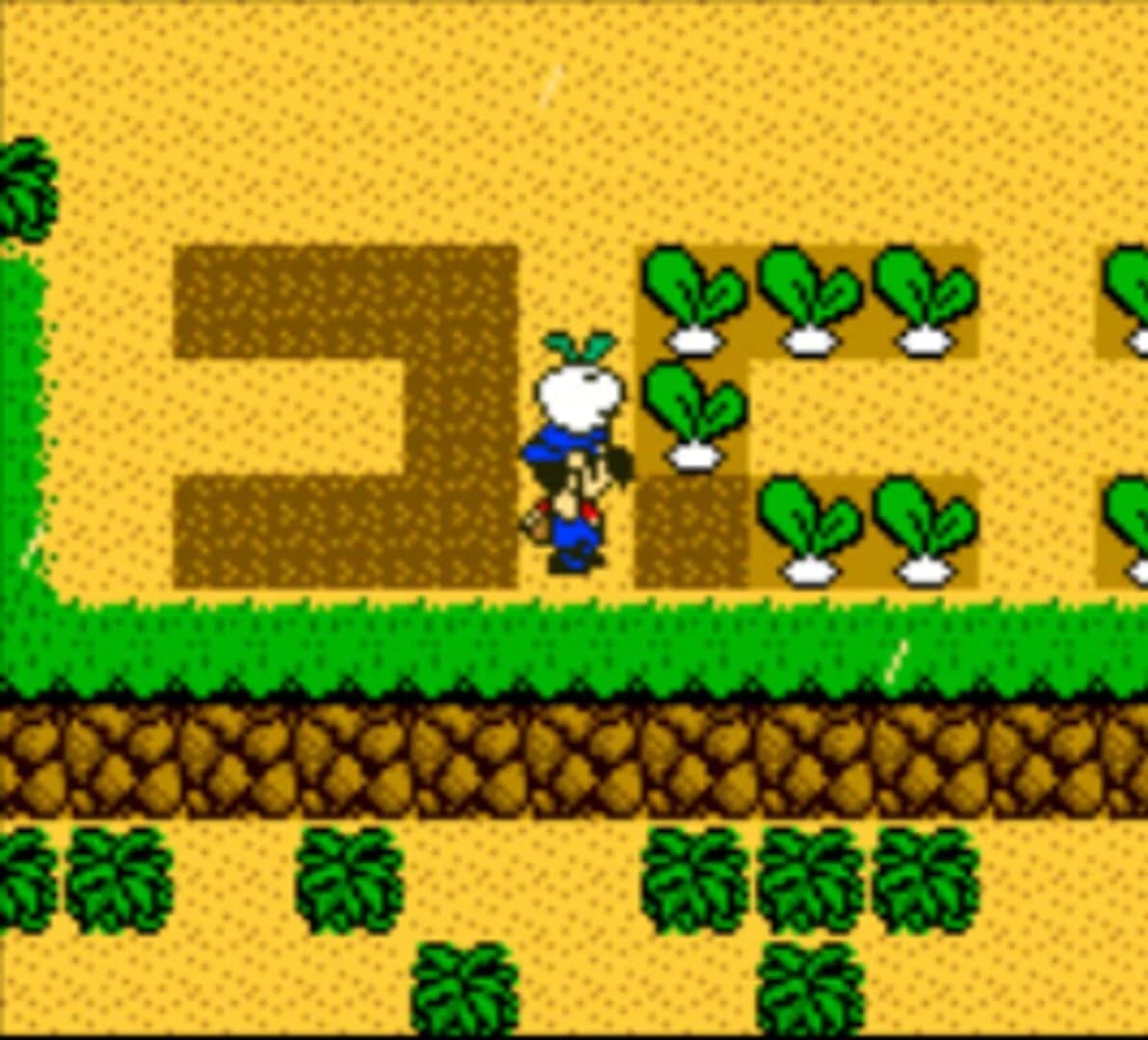 Harvest Moon 3 GBC screenshot 2