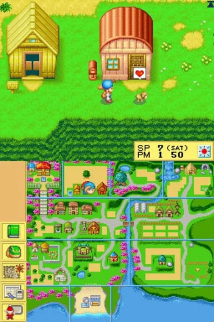 Harvest Moon DS screenshot 3