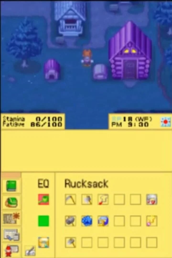 Harvest Moon DS Cute screenshot 3