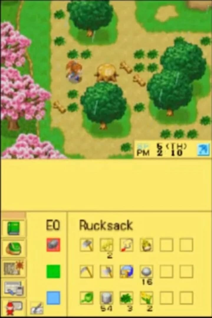 Harvest Moon DS Cute screenshot 2