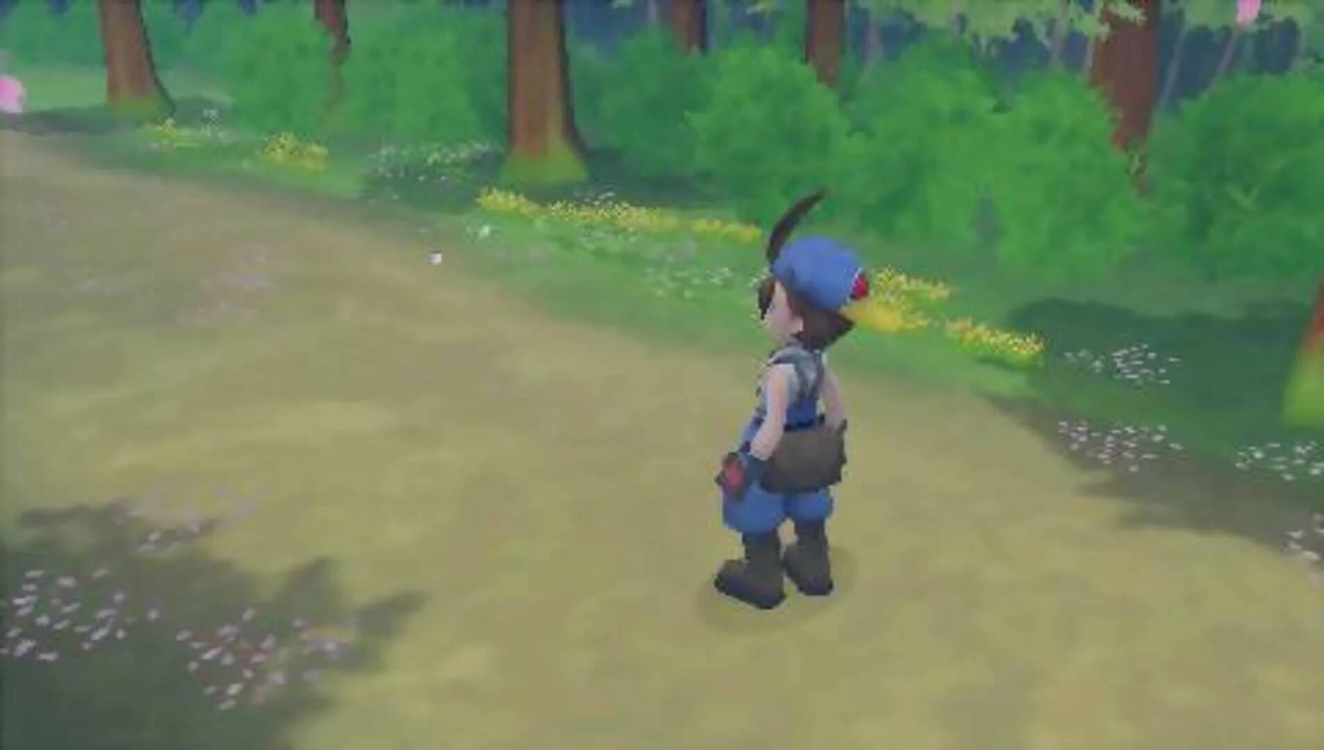 Harvest Moon: Hero of Leaf Valley screenshot 2