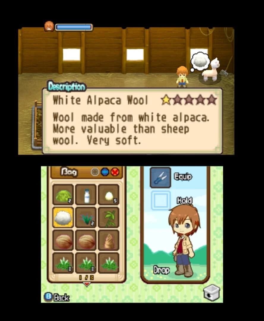 Harvest Moon: The Tale of Two Towns screenshot 4