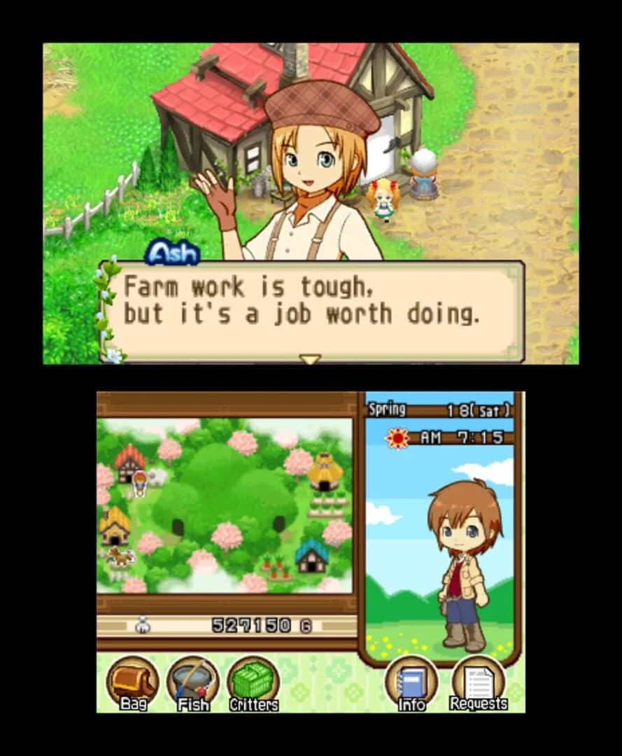 Harvest Moon: The Tale of Two Towns screenshot 3