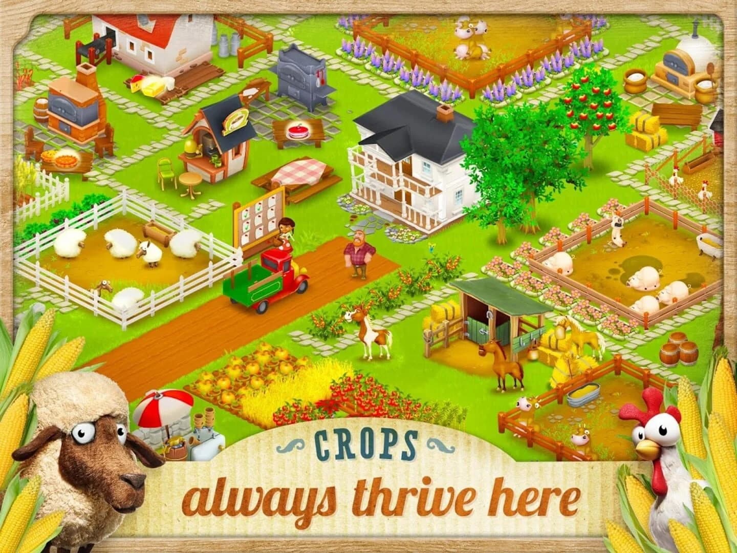 Hay Day screenshot 5