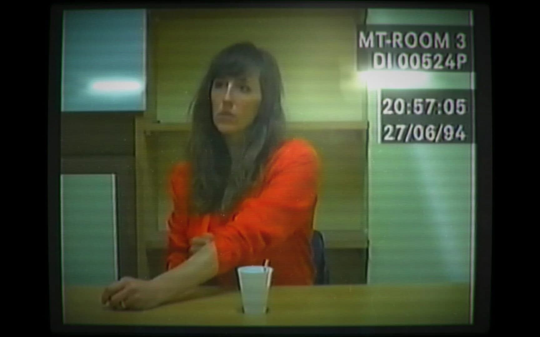 Her Story screenshot 4