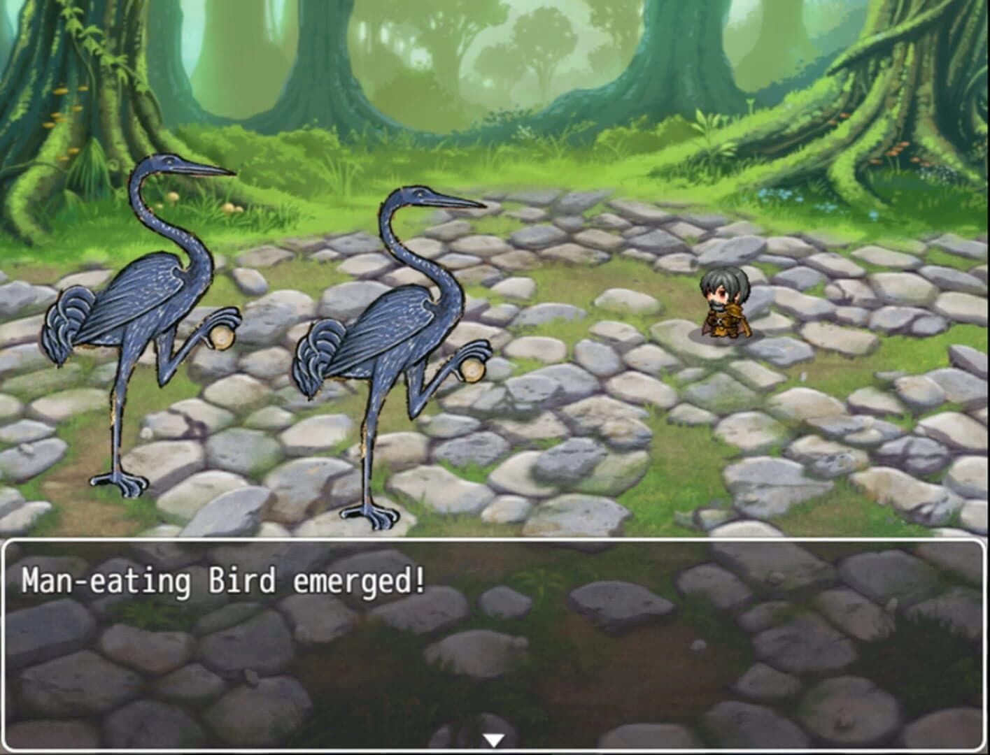 Heroes and Monsters II screenshot 15