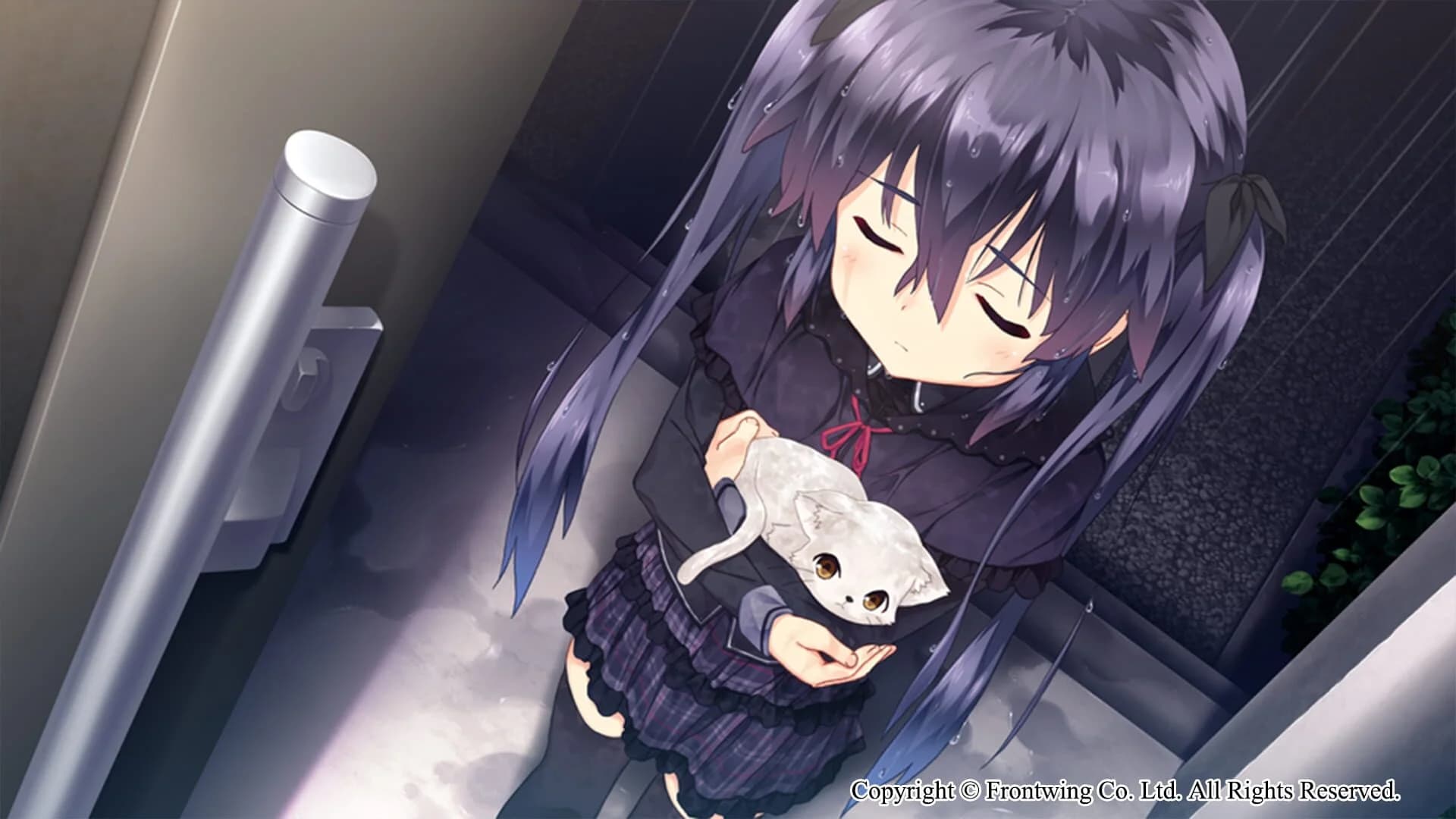 Himawari: The Sunflower screenshot 5