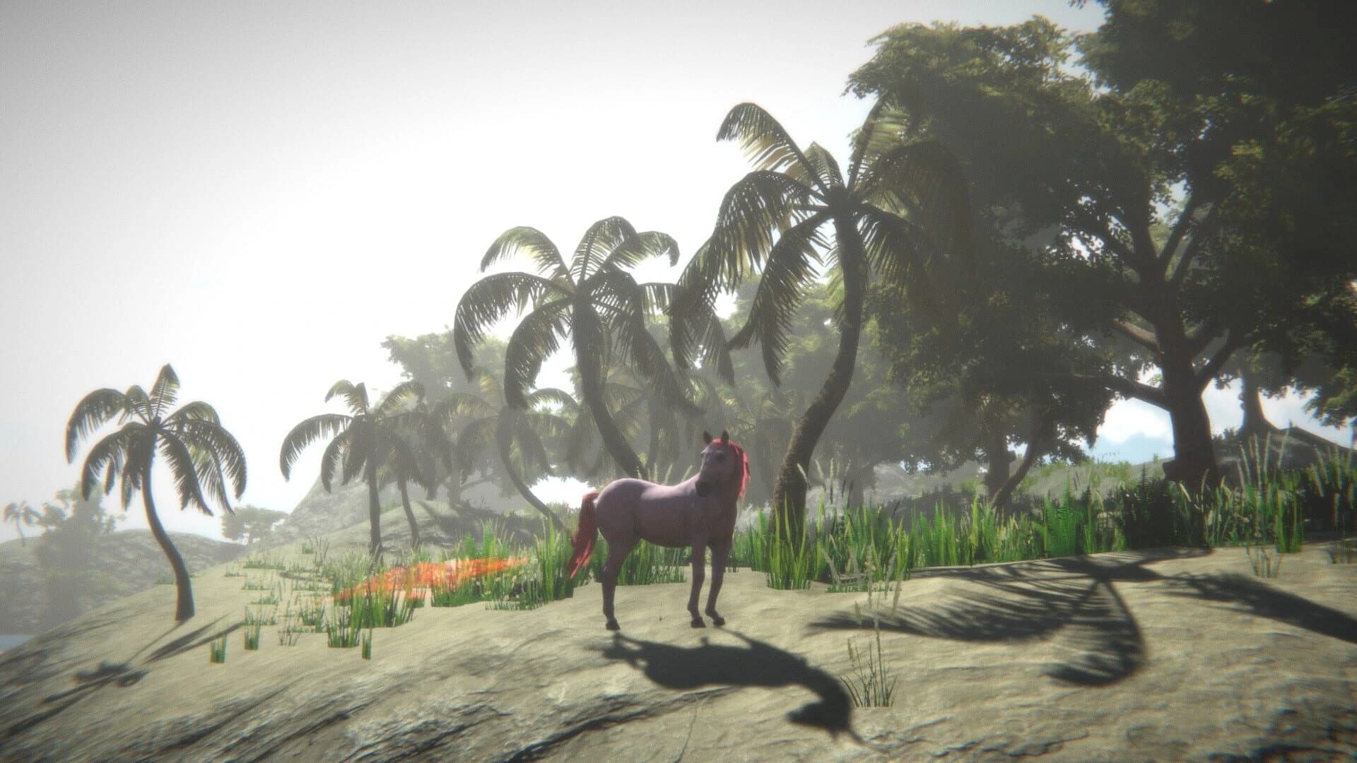 Horse and Go Seek screenshot 1