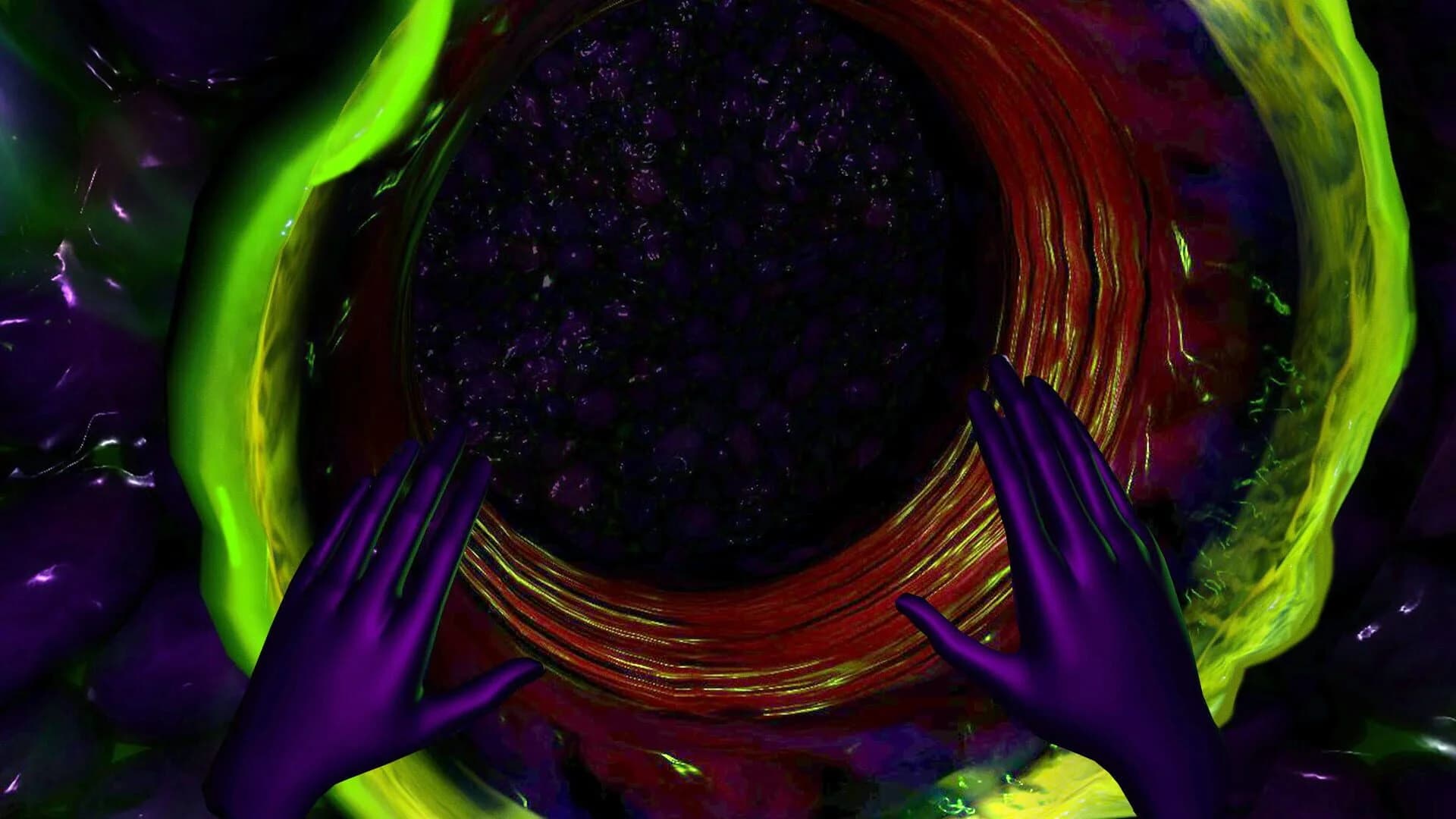Host screenshot 5