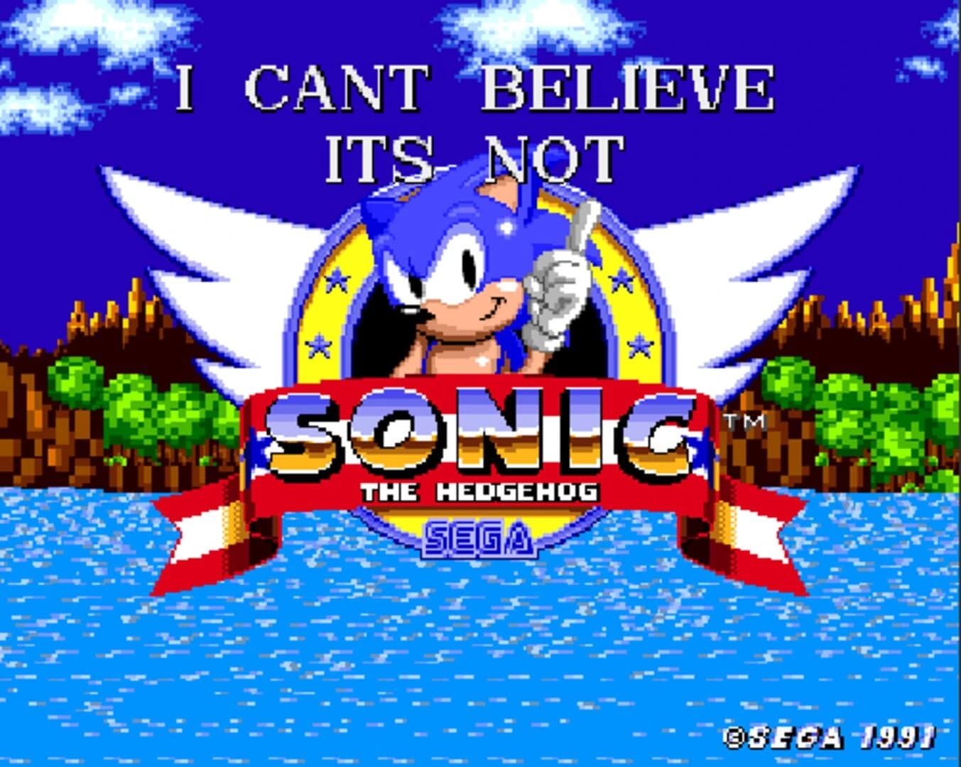 I Can't Believe it's Not Sonic 1 screenshot 11