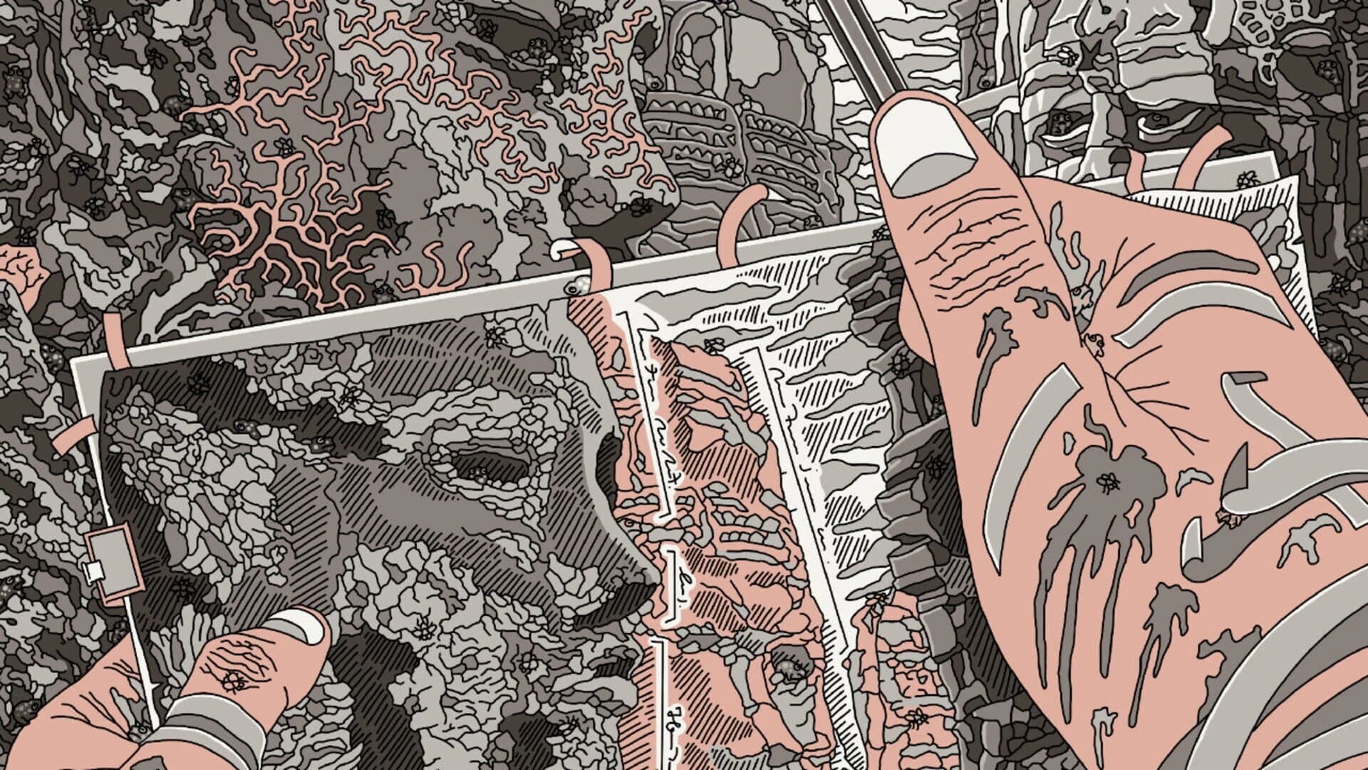 I Commissioned Some Frogs 2 screenshot 2